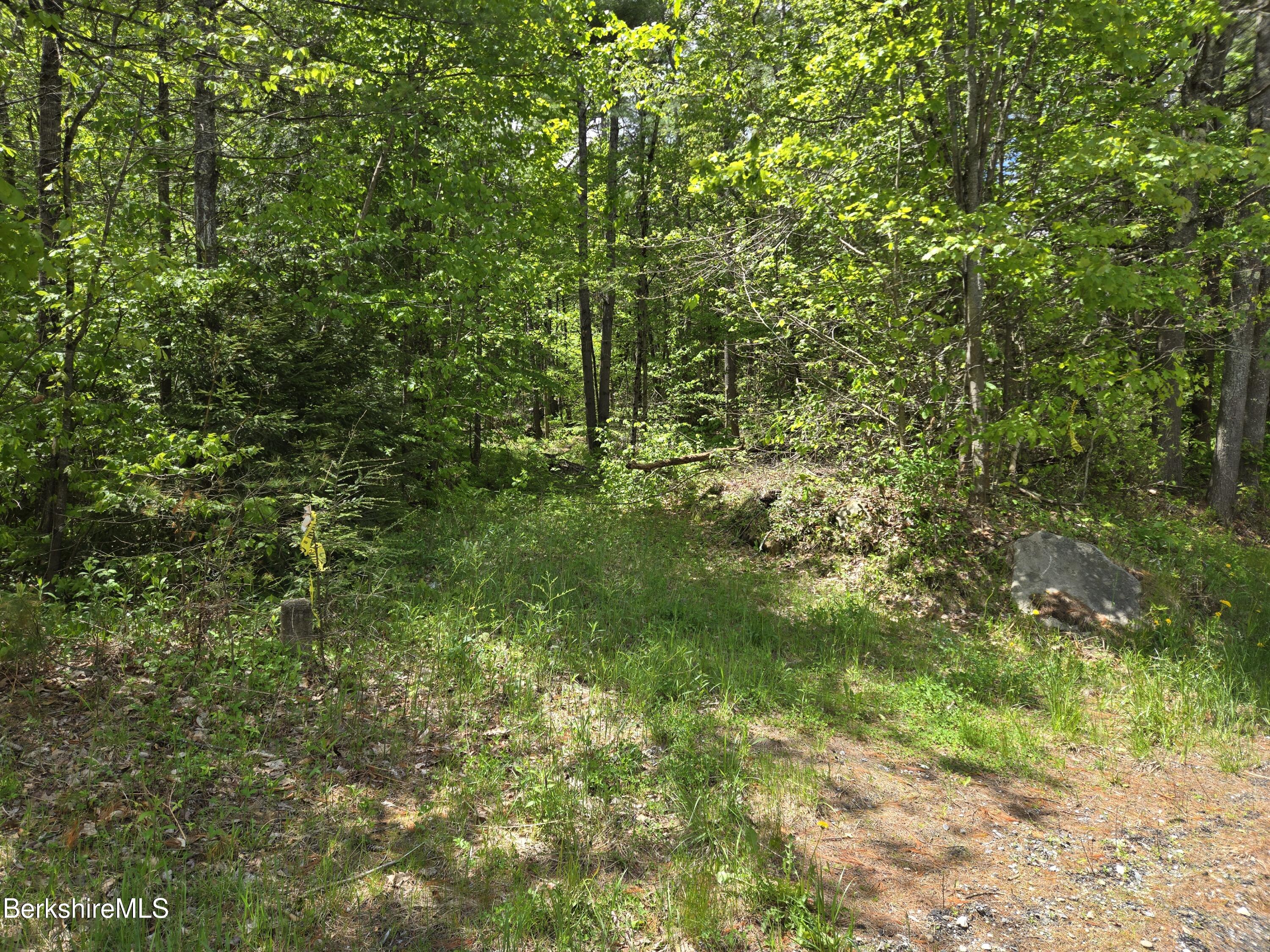 E Otis Rd, Otis, Massachusetts image 4