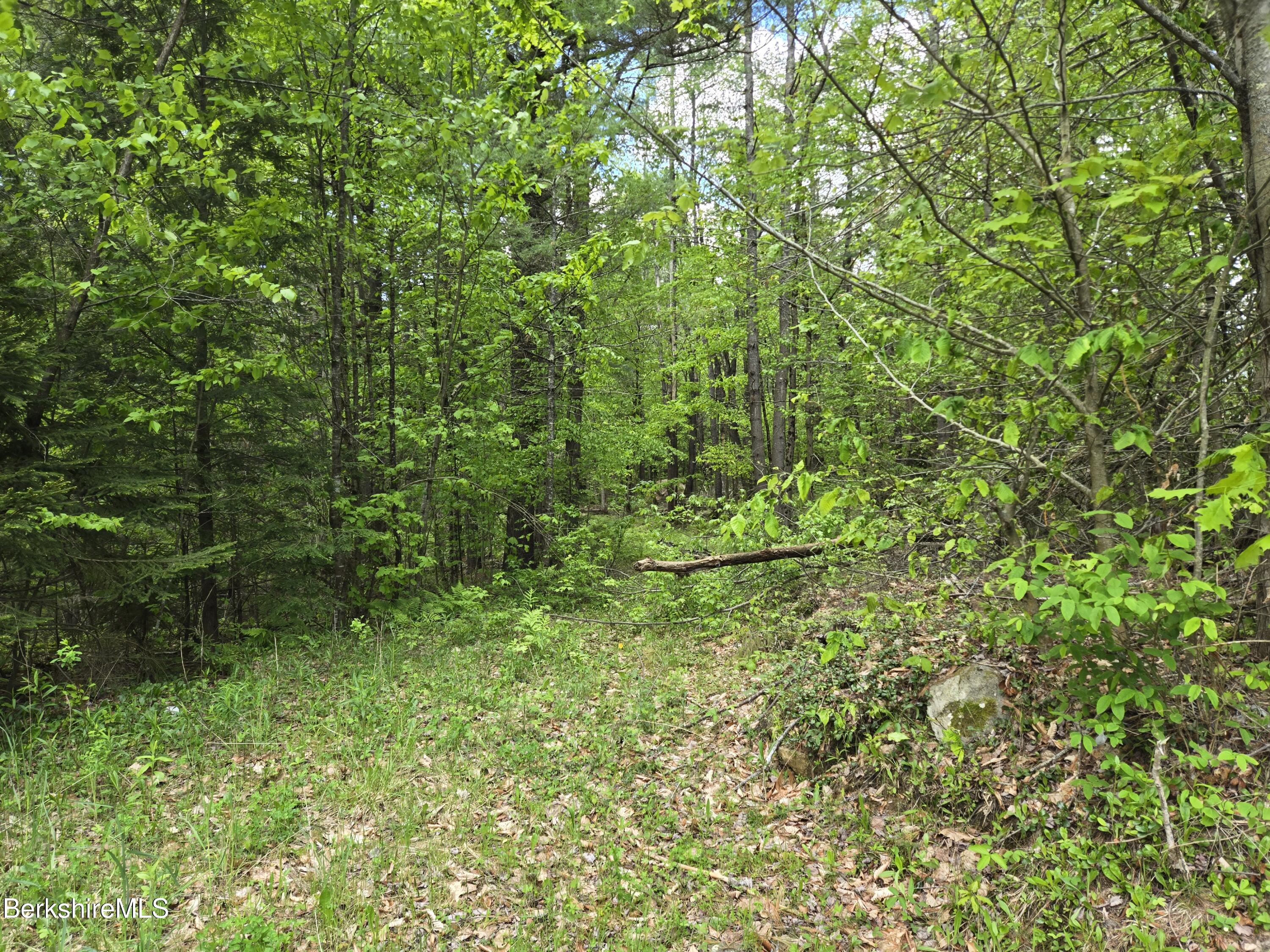 E Otis Rd, Otis, Massachusetts image 5