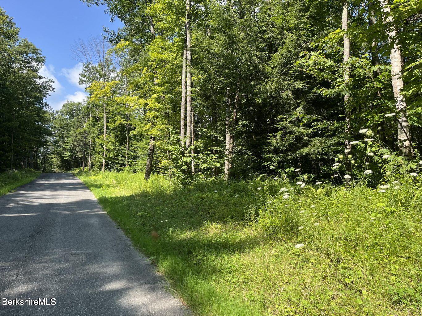 Lot # 1 Webster Rd, Tyringham, Massachusetts image 1
