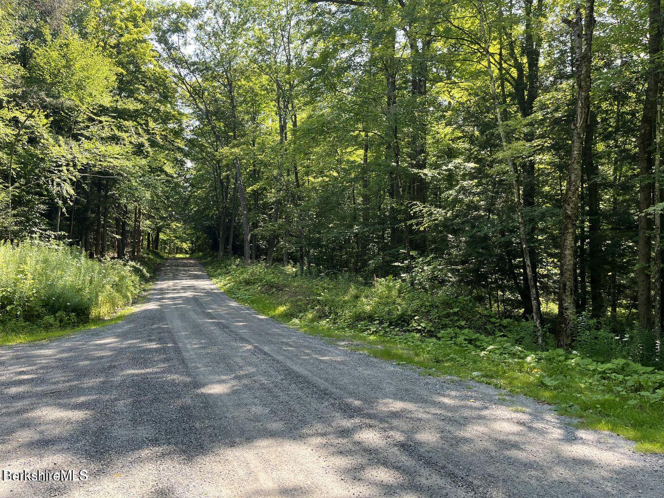 Lot # 1 Webster Rd, Tyringham, Massachusetts image 3