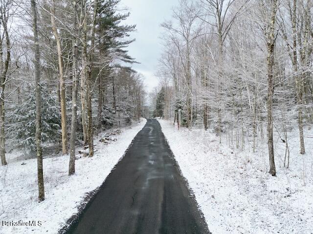 Lot # 1 Webster Rd, Tyringham, Massachusetts image 7