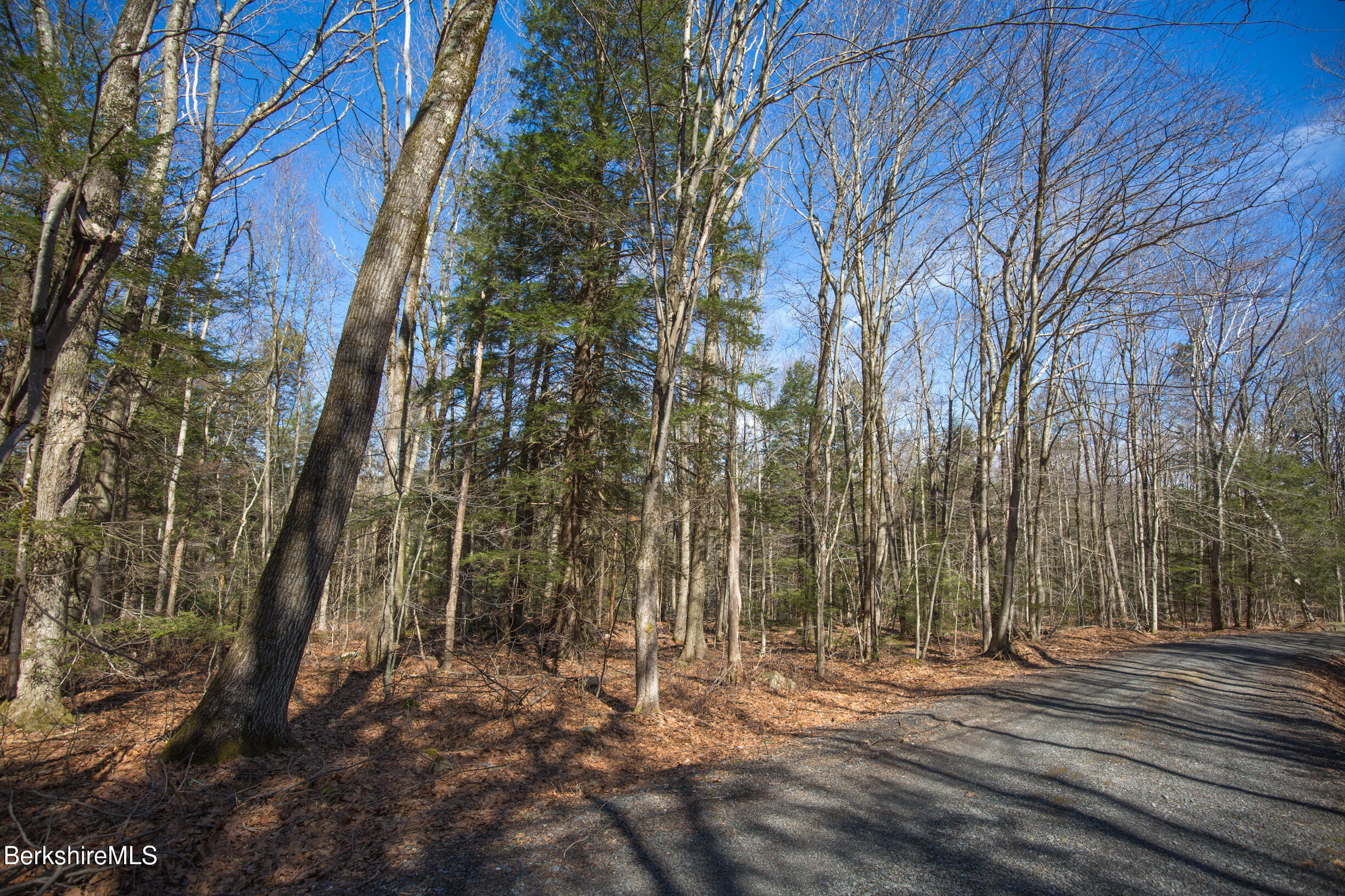 Hemlock Rd, Tyringham, Massachusetts image 7