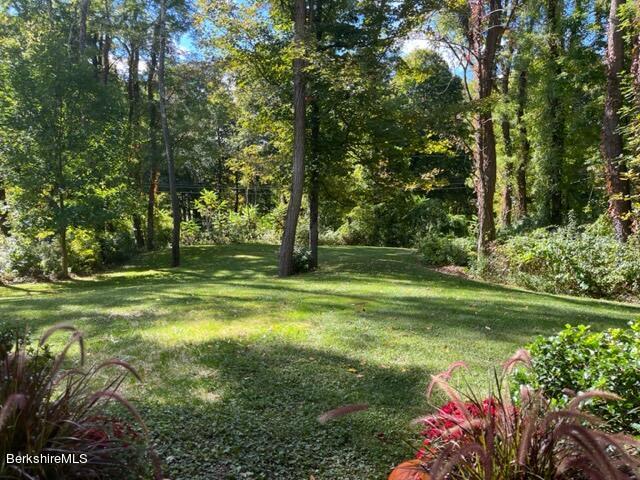 188 Hillsdale Rd, Egremont, Massachusetts image 29