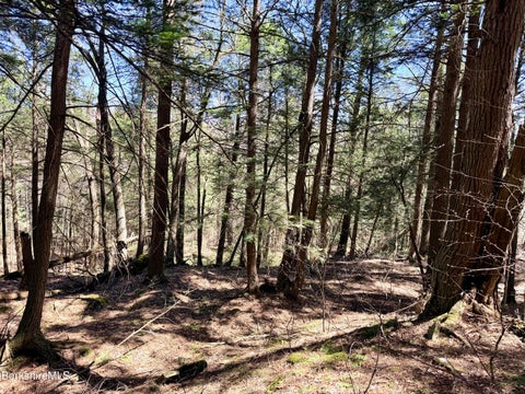 Vacant Land For Sale - 8 Hemlock Rd<br/> Berkshire County, Tyringham, MA 01264