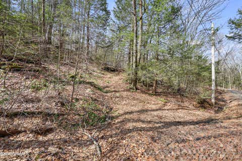 Vacant Land For Sale - 8 Hemlock Rd<br/> Berkshire County, Tyringham, MA 01264