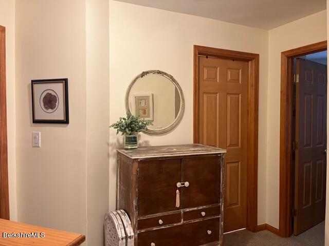 8 Stanley Dr #A-4, Great Barrington, Massachusetts image 22