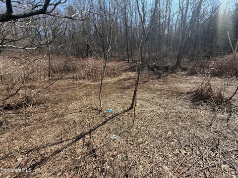 Vacant Land For Sale - 800 Cape St<br/> Lee, MA 01238