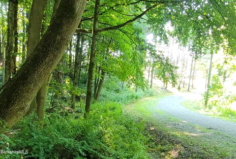 Vacant Land For Sale - LOT 2 Leland Rd<br/> Berkshire County, Becket, MA 01223
