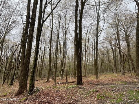 Vacant Land For Sale - Manley Phelps Rd<br/> Monroe, MA 01350