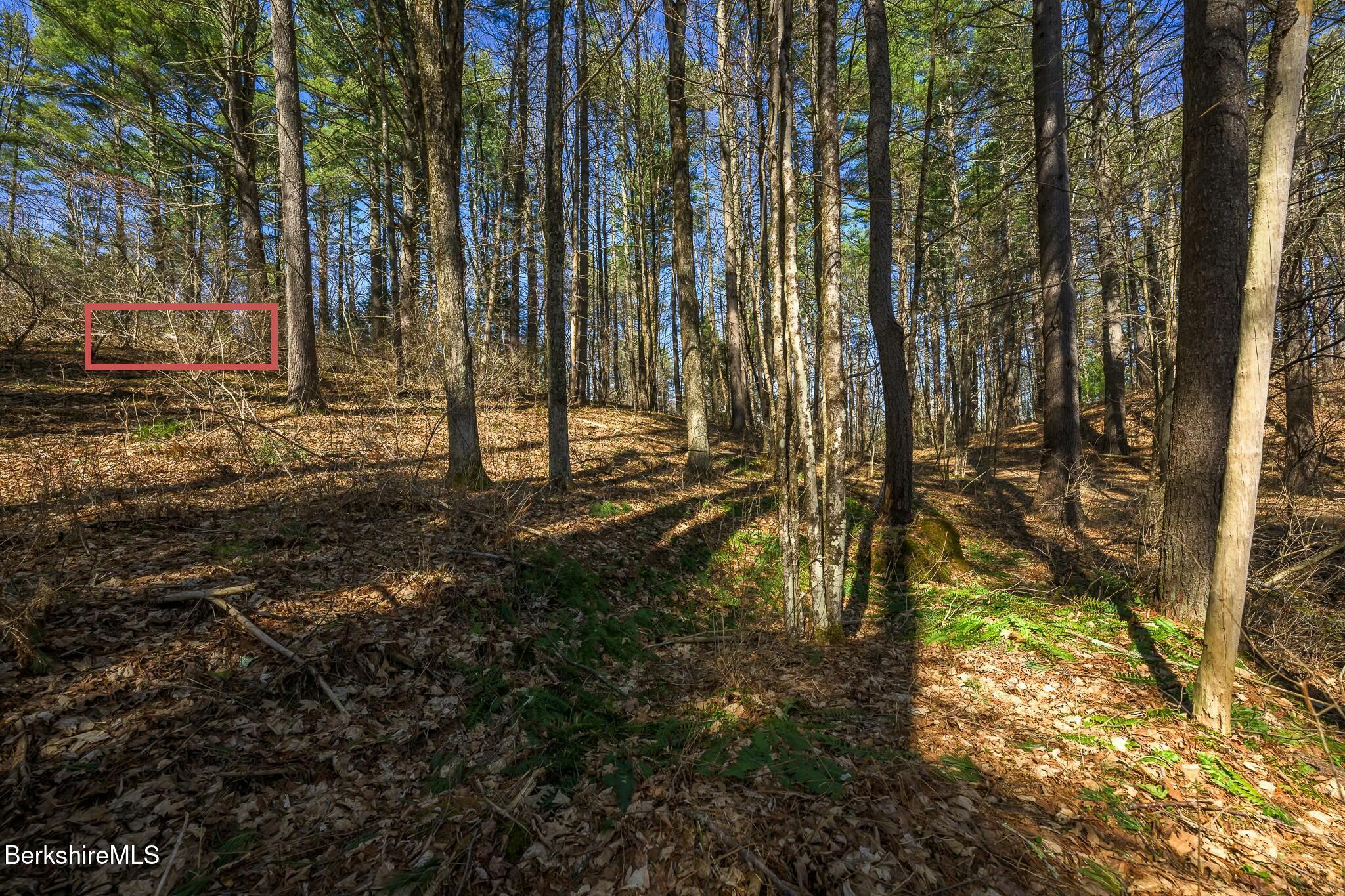 14 Partridge Way, Stockbridge, Massachusetts image 8