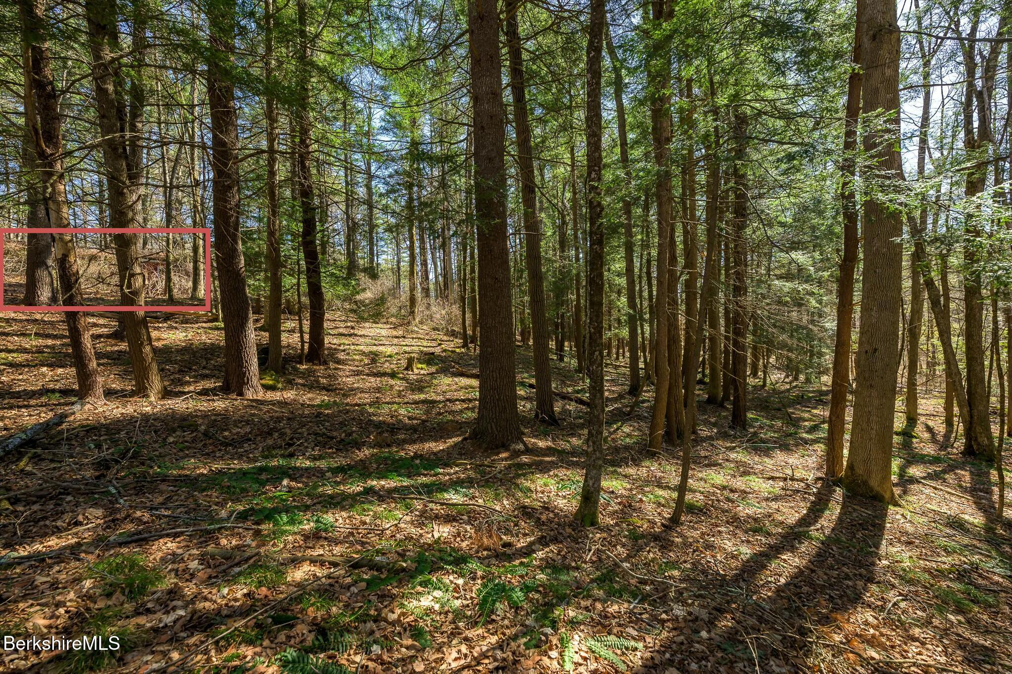 14 Partridge Way, Stockbridge, Massachusetts image 6