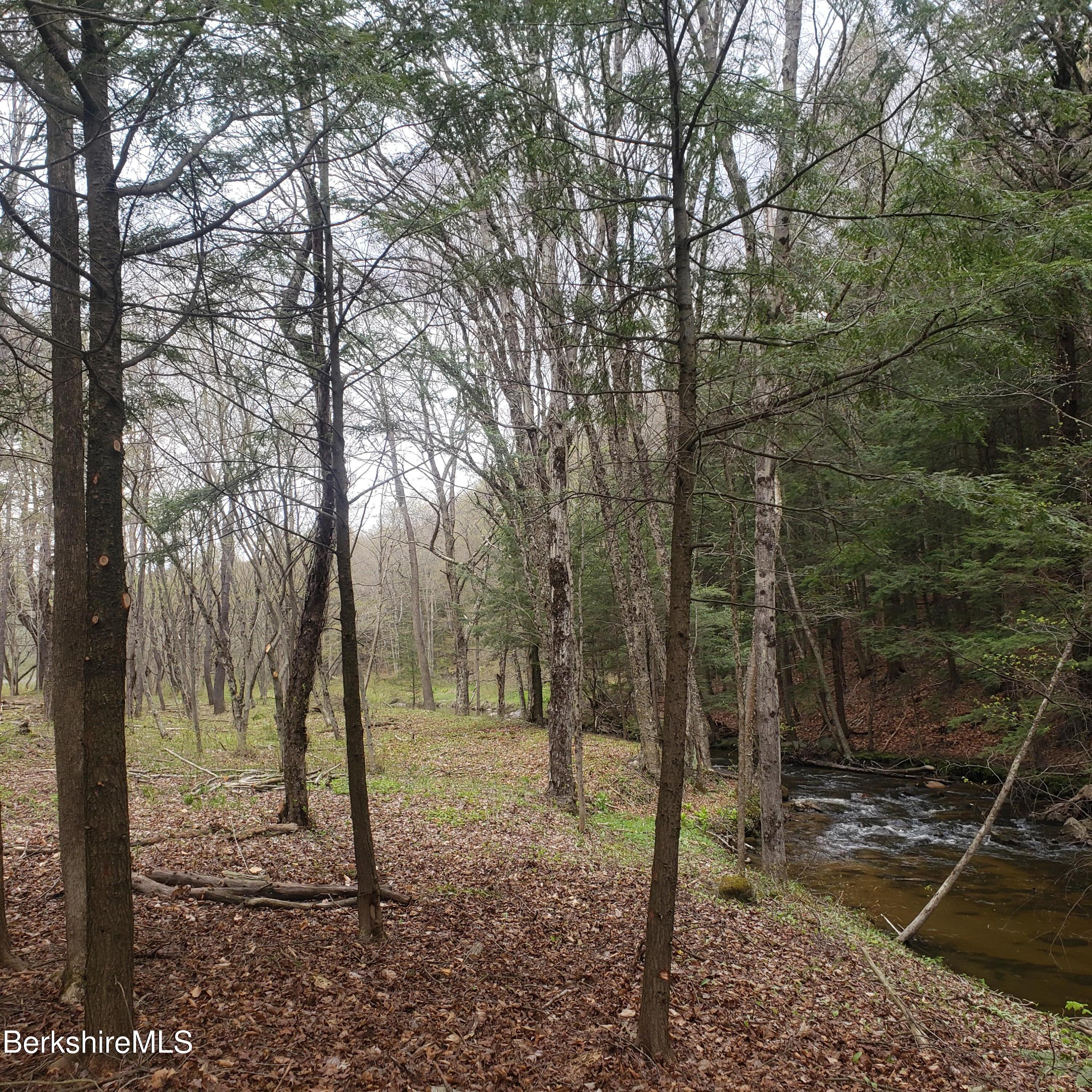 Lower Valley Rd, Washington, Massachusetts image 2