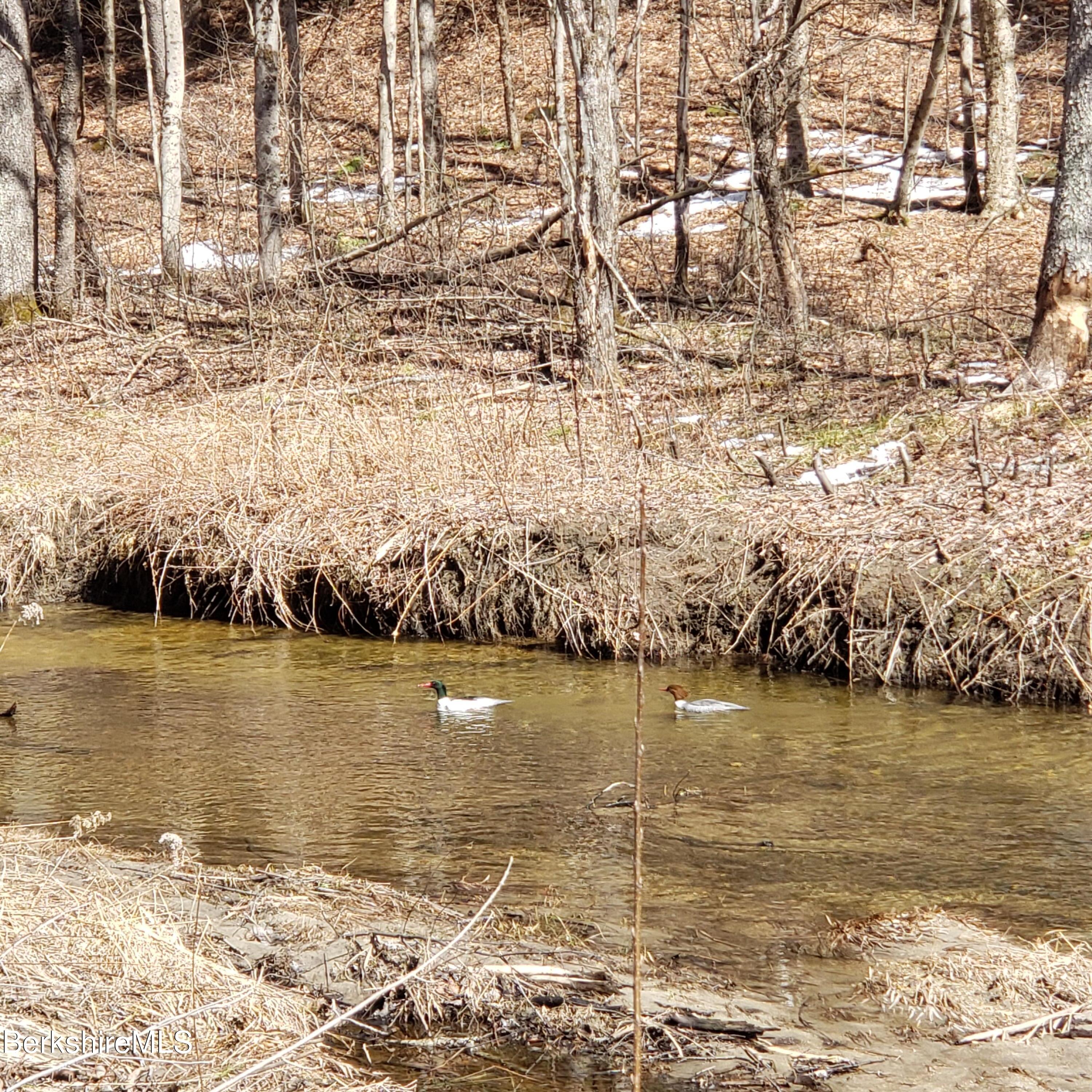 Lower Valley Rd, Washington, Massachusetts image 3