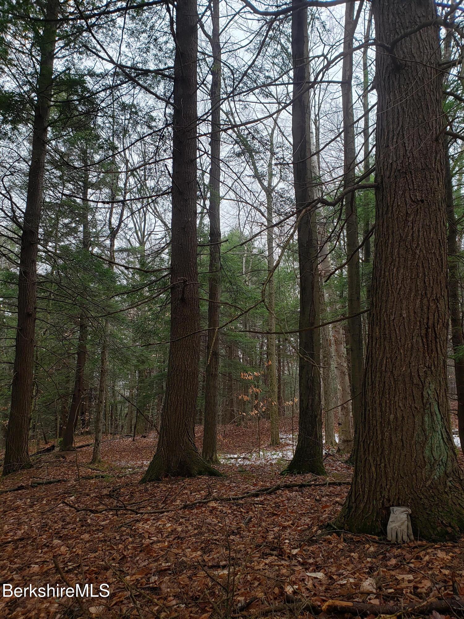 Lower Valley Rd, Washington, Massachusetts image 9