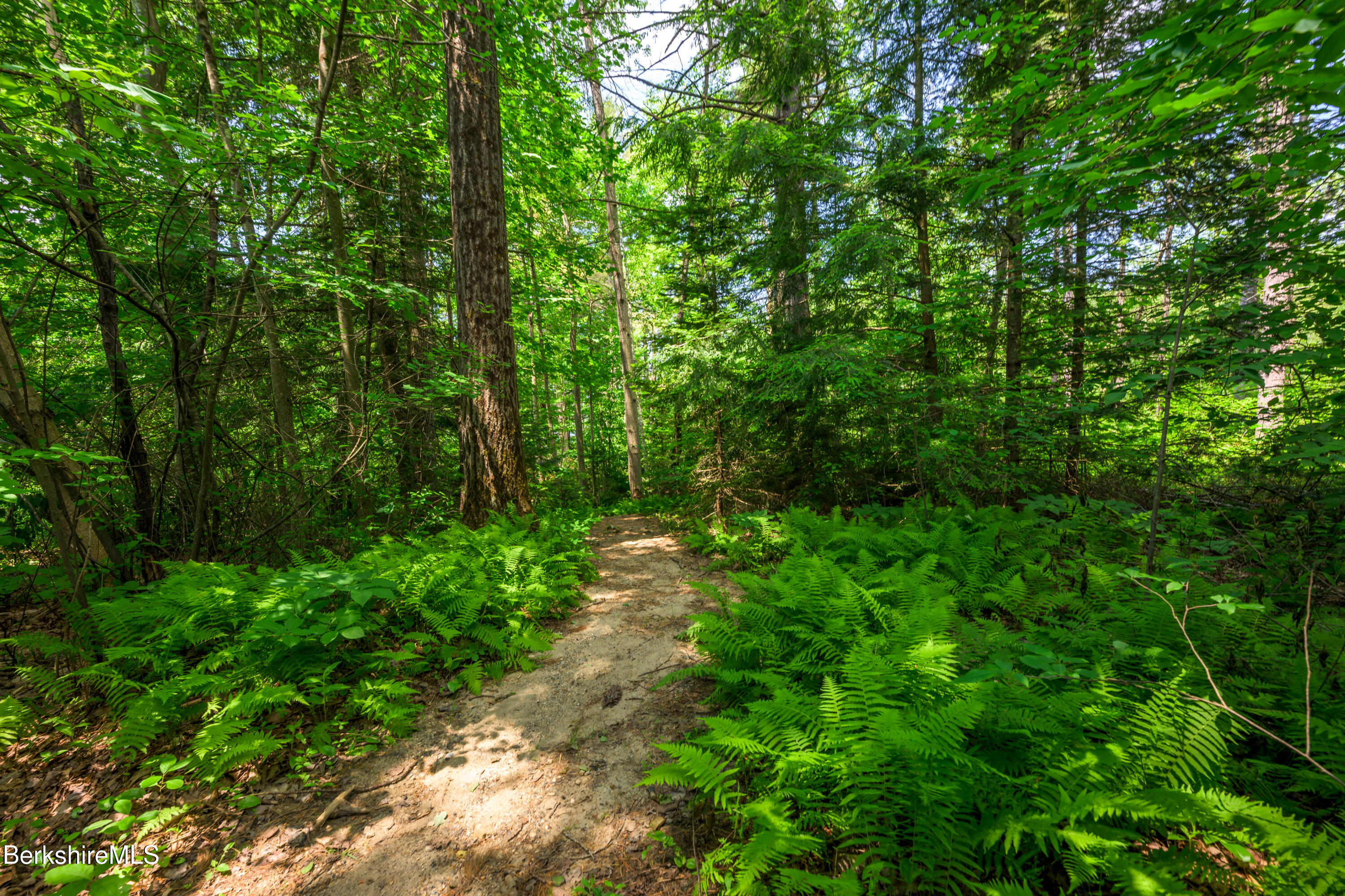 9 & 14 Bear Hill Rd, Hinsdale, Massachusetts image 35