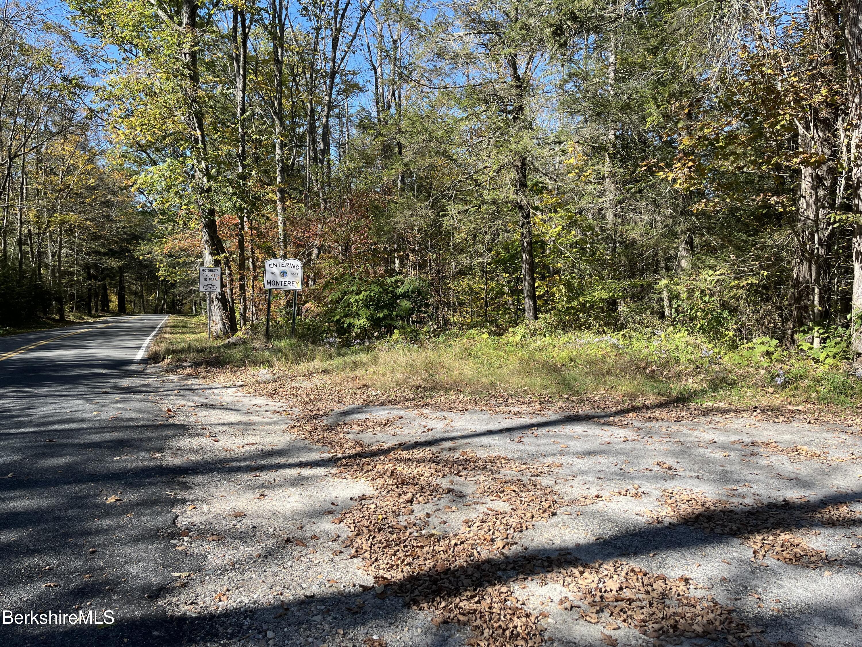 Monterey, Massachusetts 01245, United States, ,Land,Active,237720