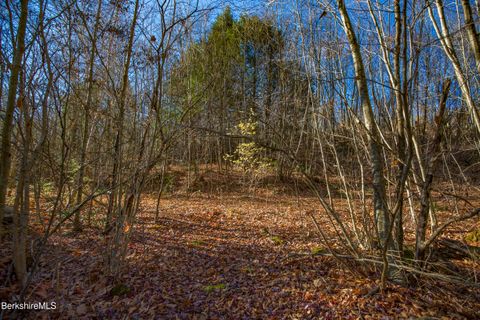 Vacant Land For Sale - Goose Pond Rd<br/> Tyringham, MA 01264