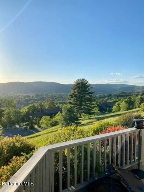 176 Old Stockbridge Rd #SMITH 2, Stockbridge, Massachusetts image 31