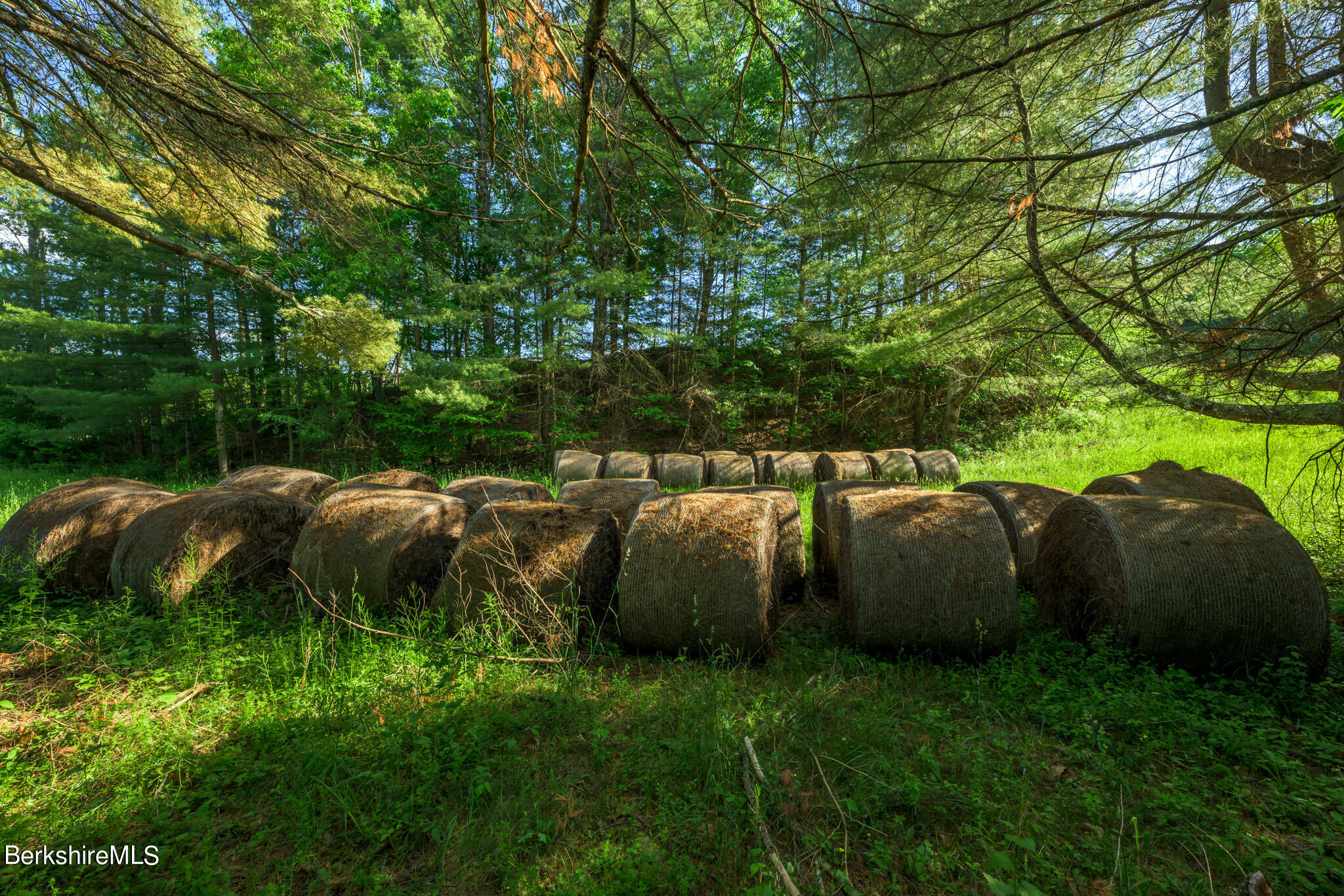 Cotter Rd, Chatham, New York image 18