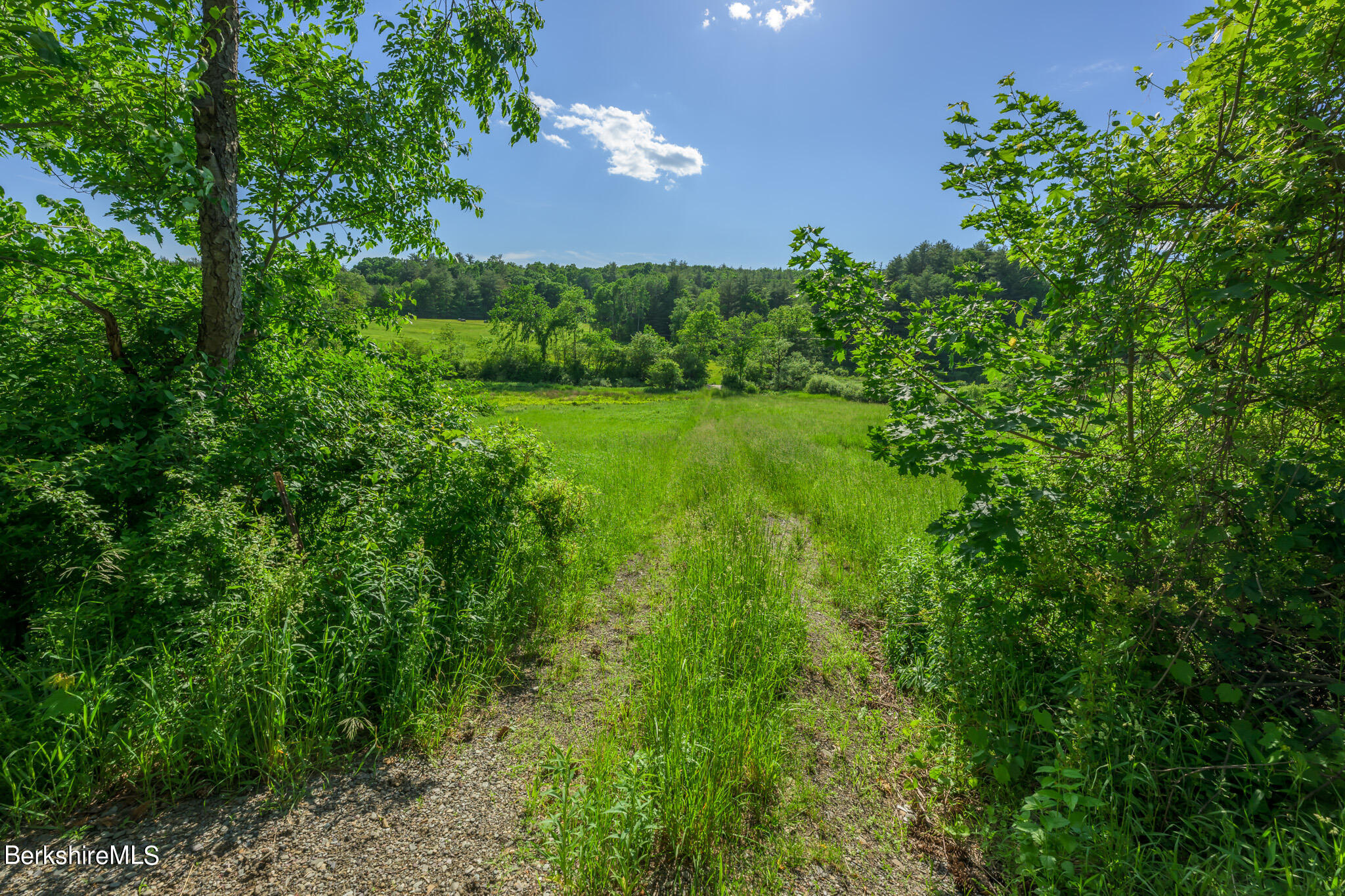 Cotter Rd, Chatham, New York image 3