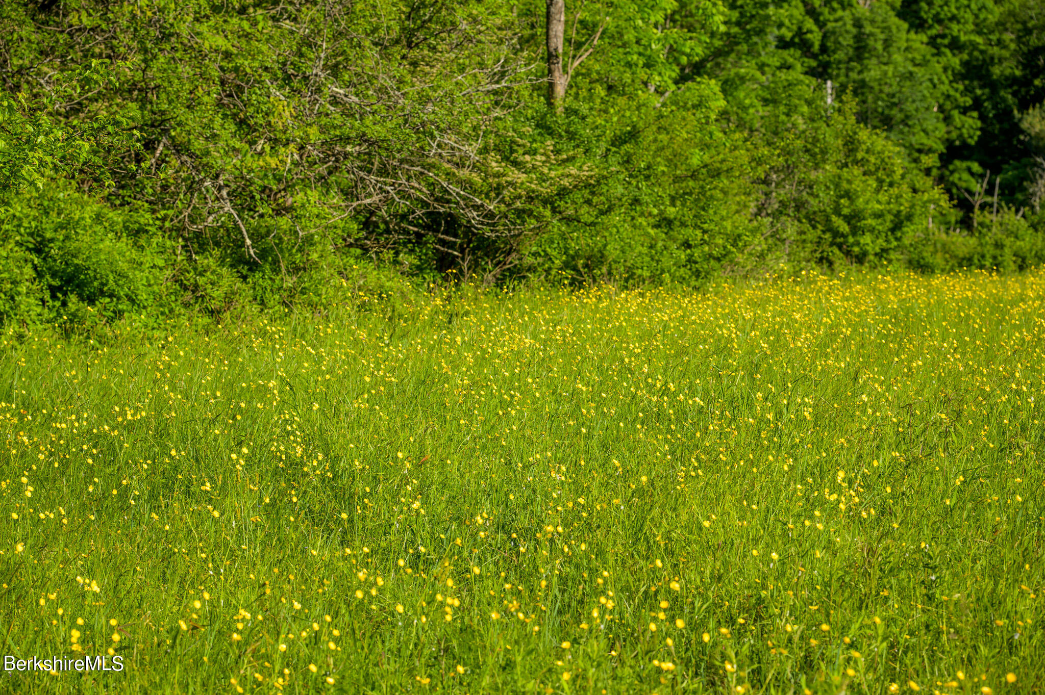 Cotter Rd, Chatham, New York image 5