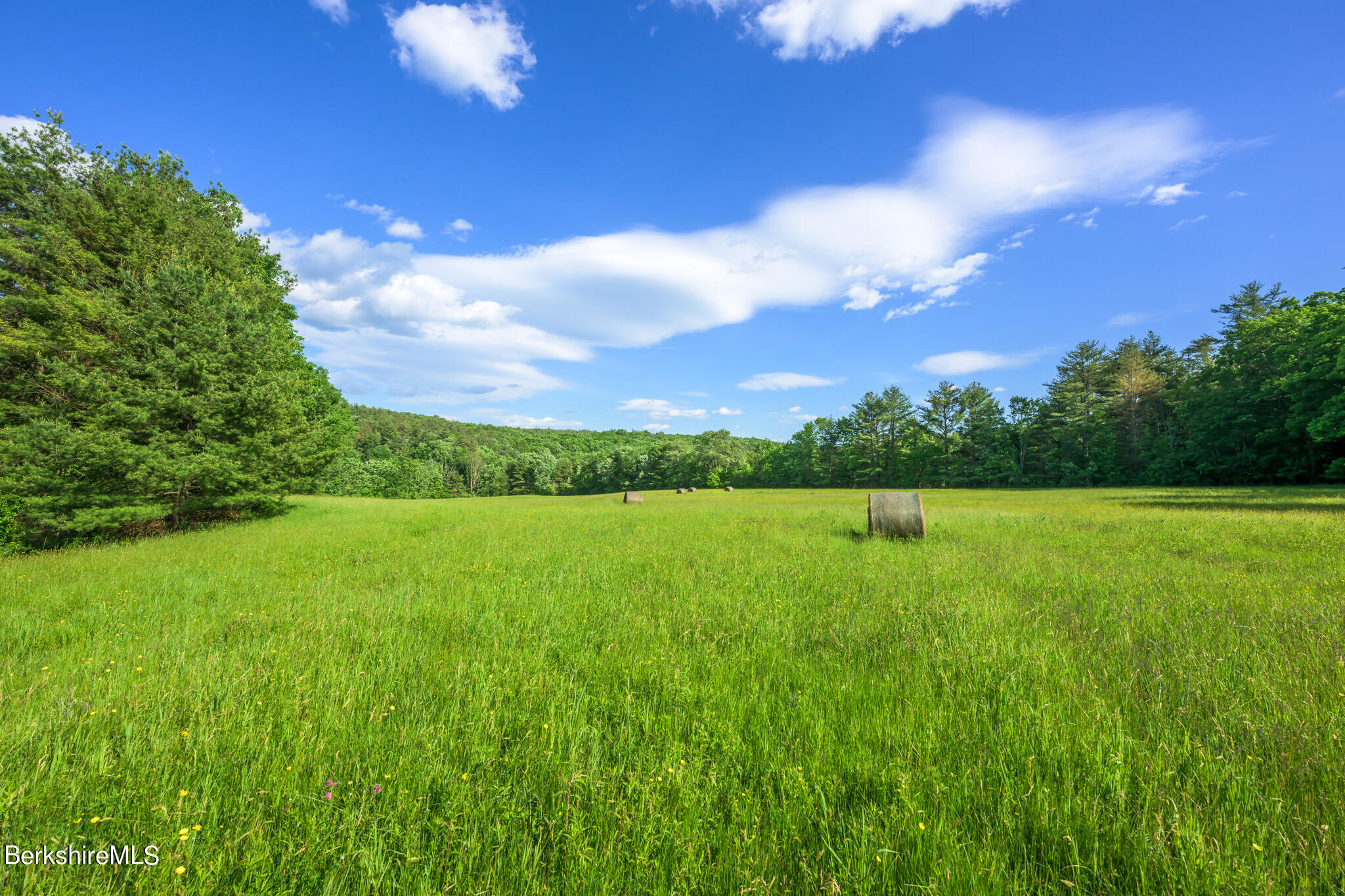 Cotter Rd, Chatham, New York image 9