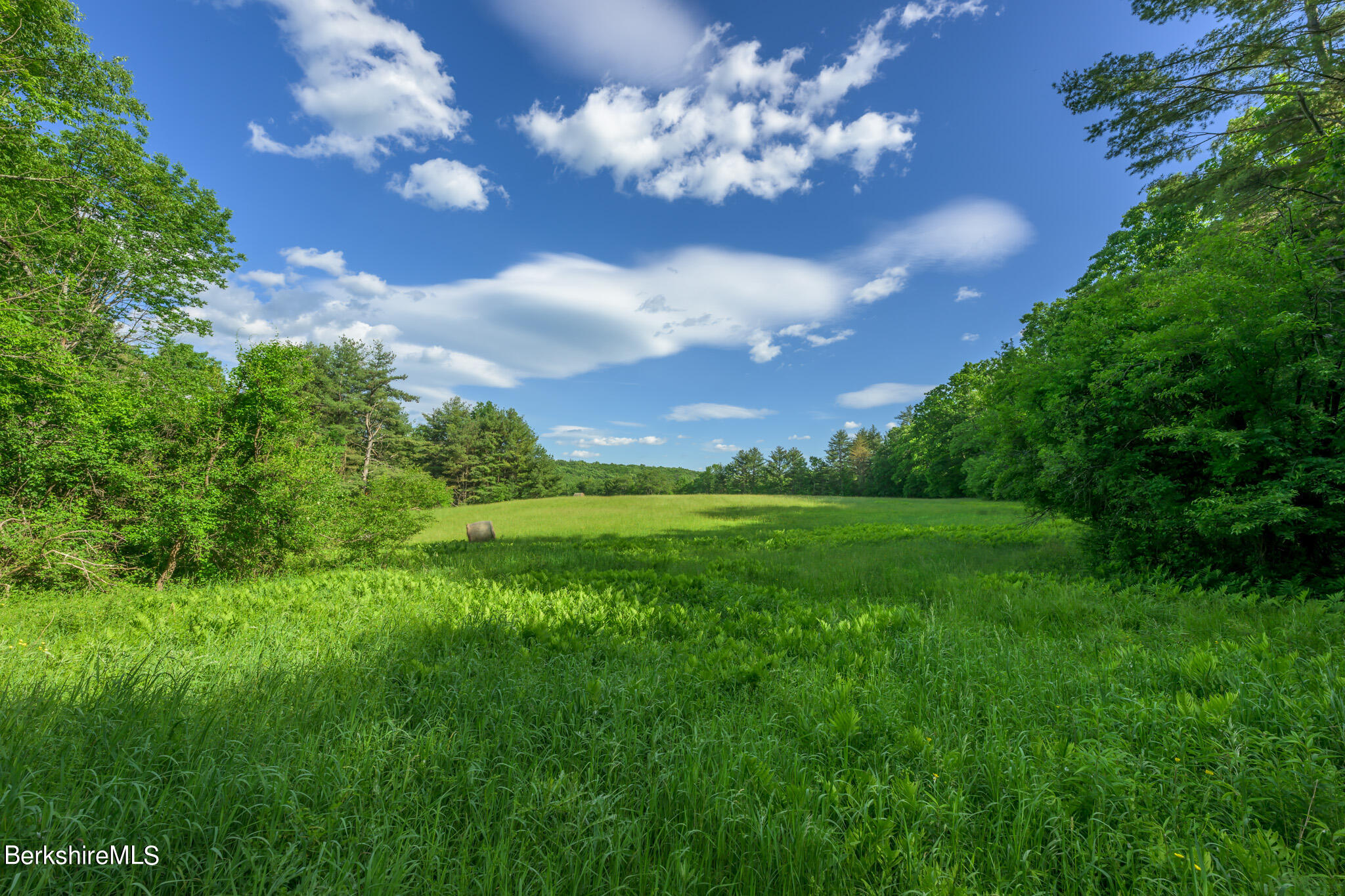 Cotter Rd, Chatham, New York image 2