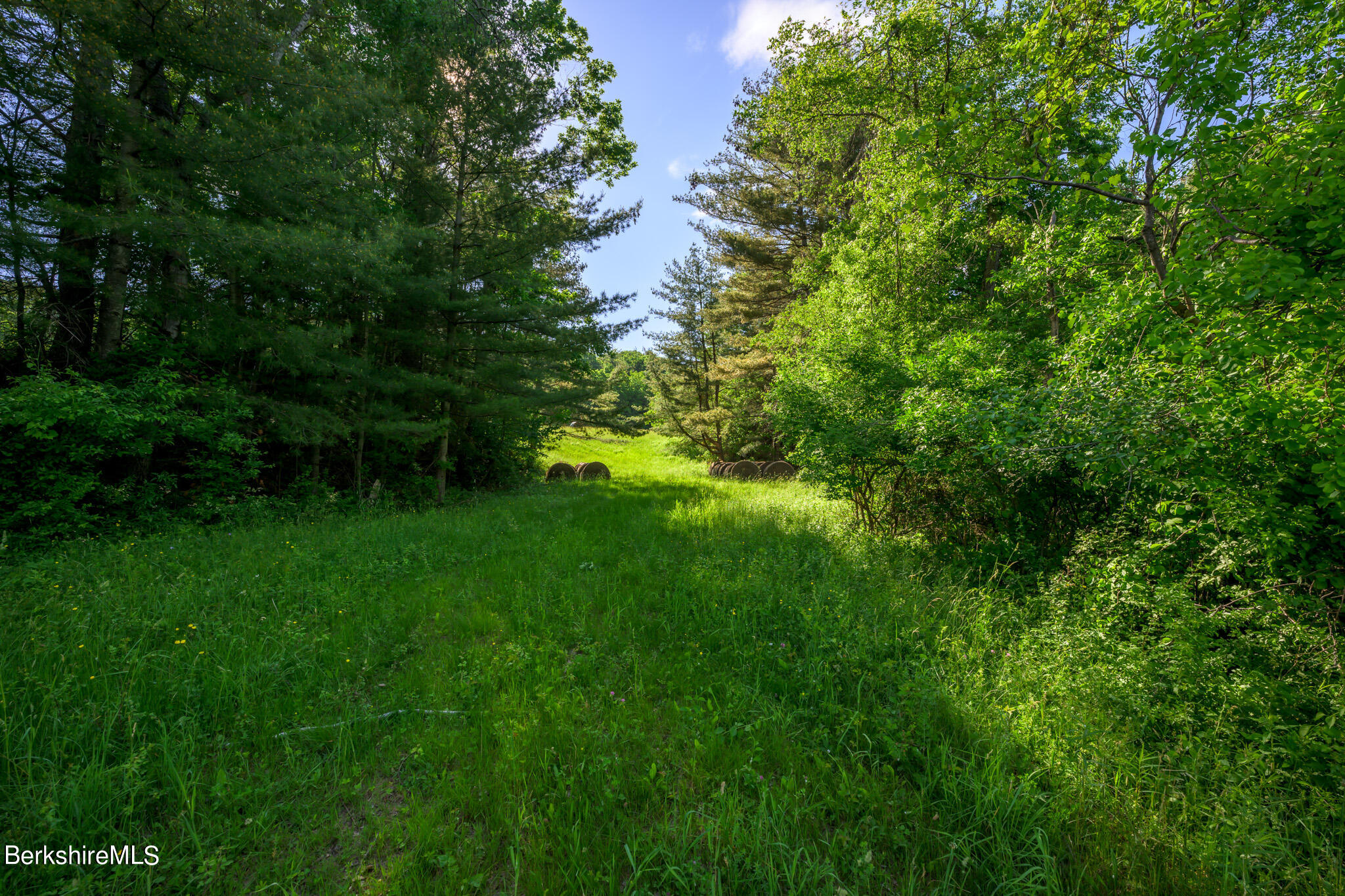 Cotter Rd, Chatham, New York image 8