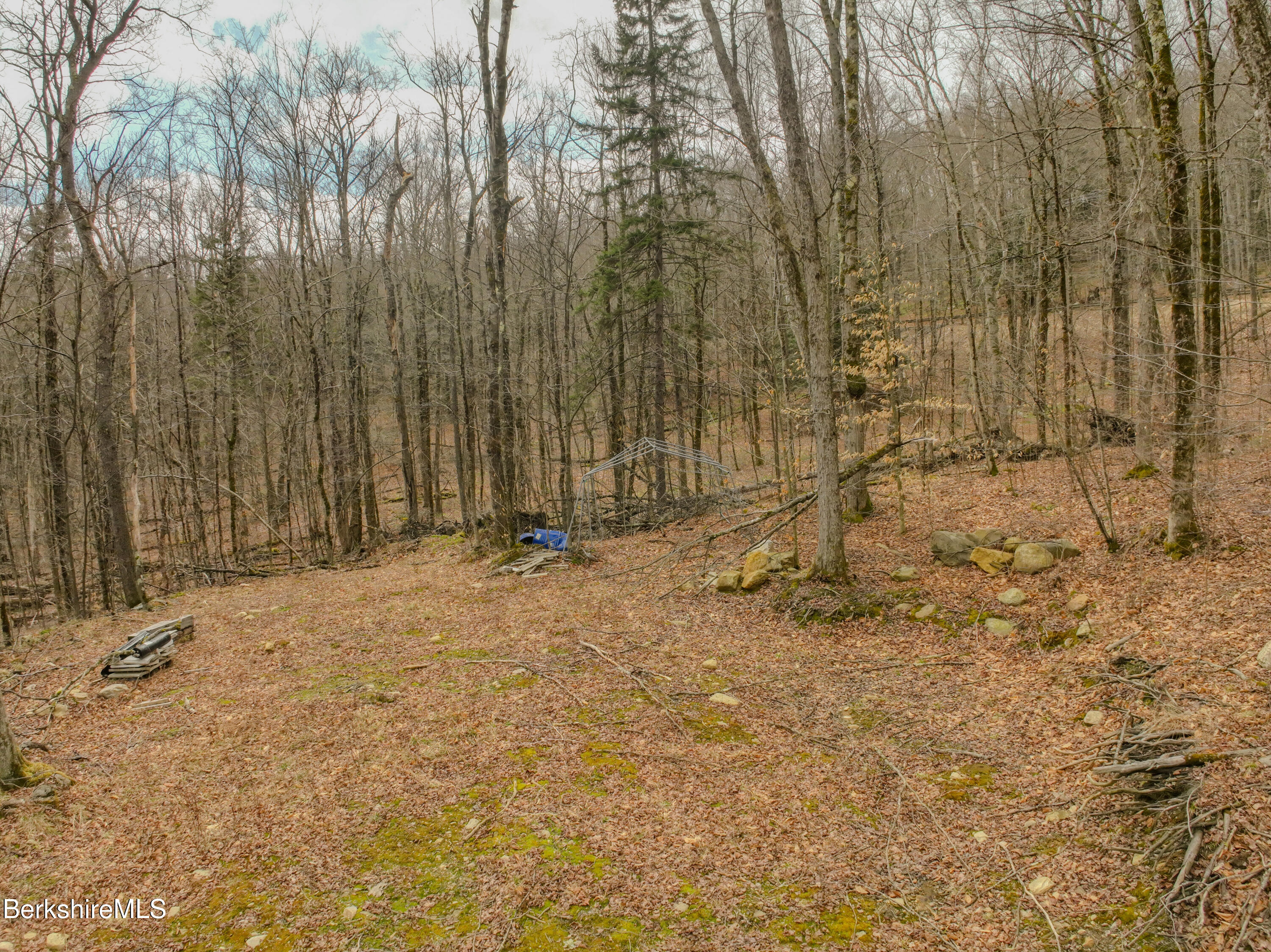 LOTS 25&26 N Washington State Rd, Washington, Massachusetts image 16