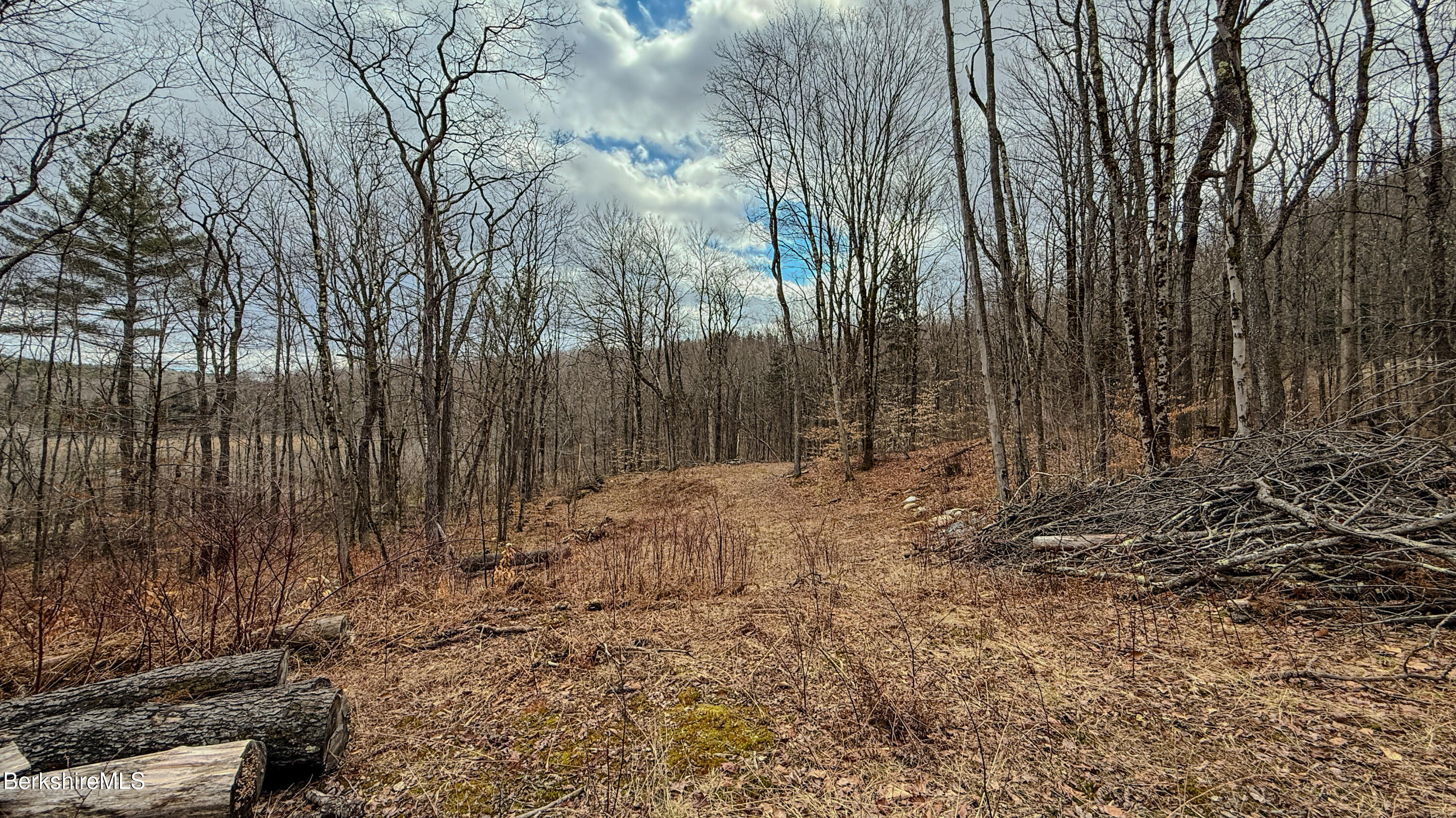 LOTS 25&26 N Washington State Rd, Washington, Massachusetts image 13