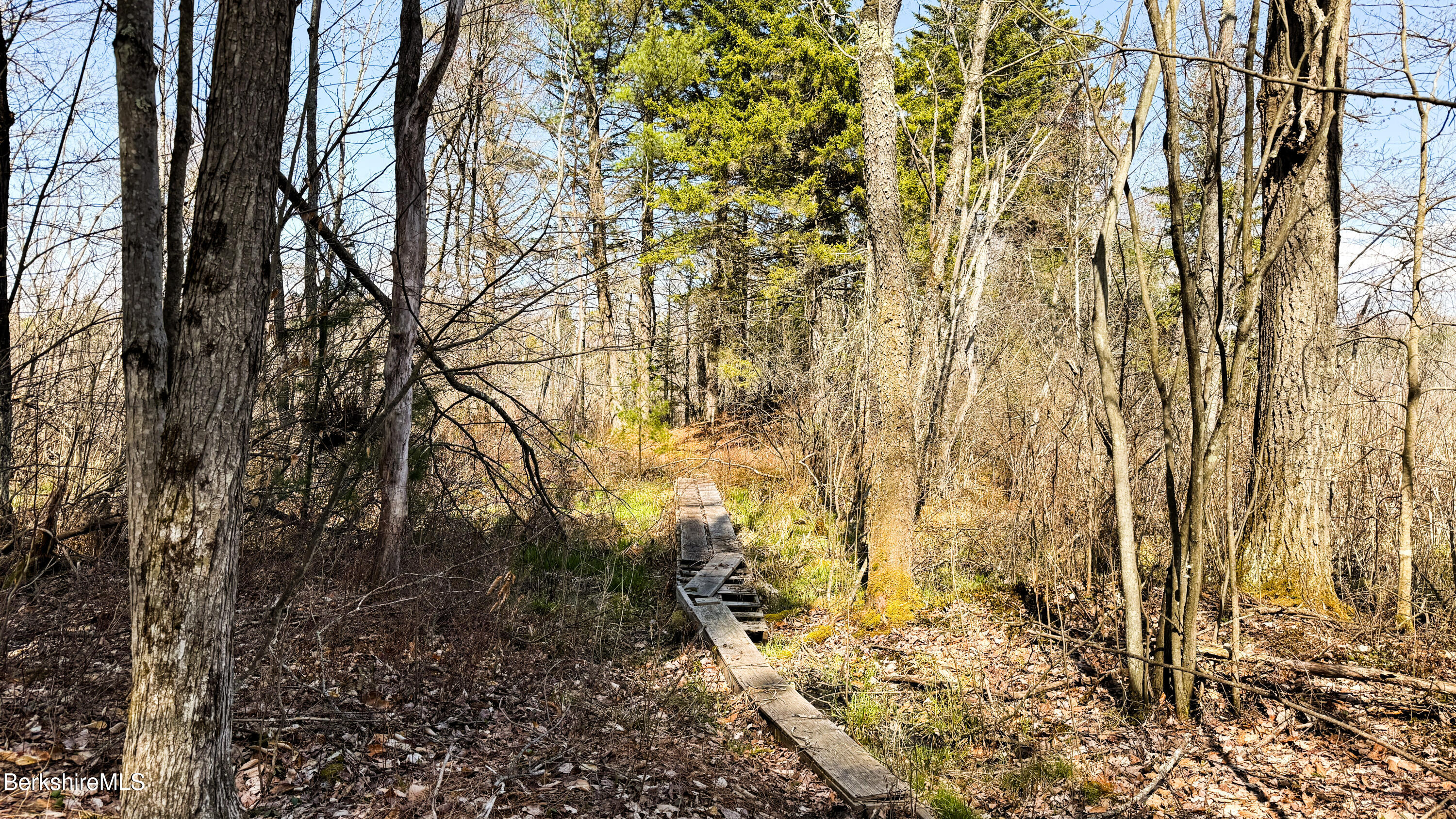 LOTS 25&26 N Washington State Rd, Washington, Massachusetts image 14