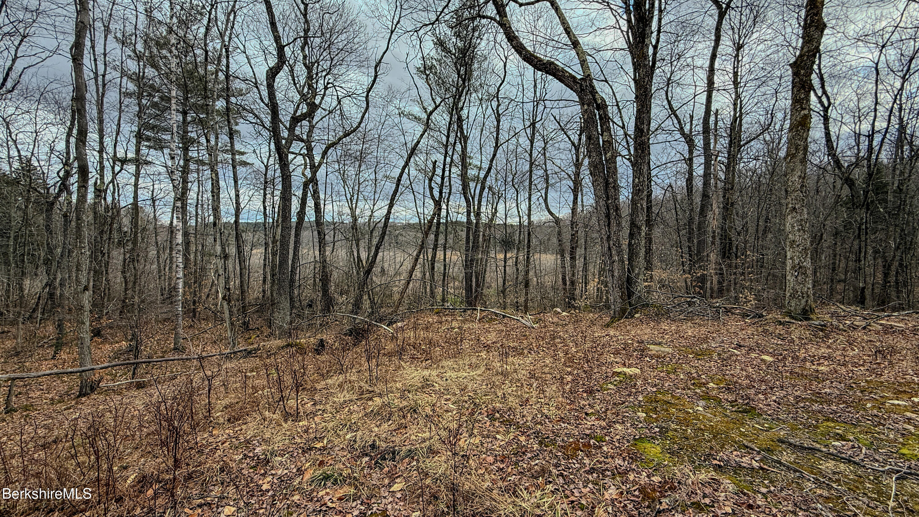 LOTS 25&26 N Washington State Rd, Washington, Massachusetts image 19