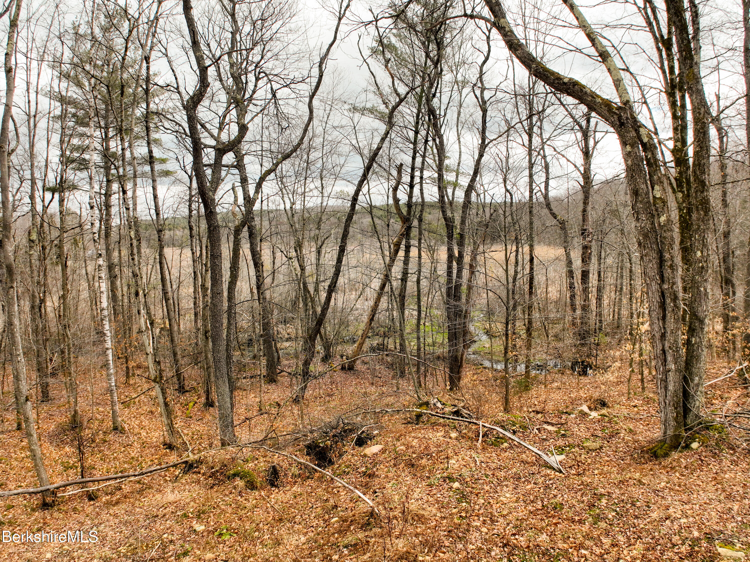 LOTS 25&26 N Washington State Rd, Washington, Massachusetts image 10