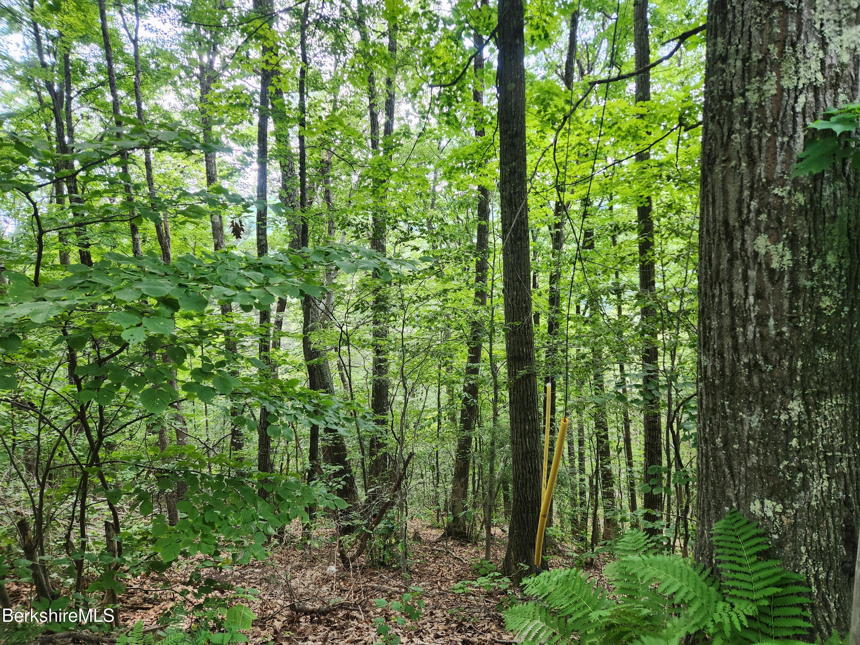 Broderick Rd, Monterey, Massachusetts image 1