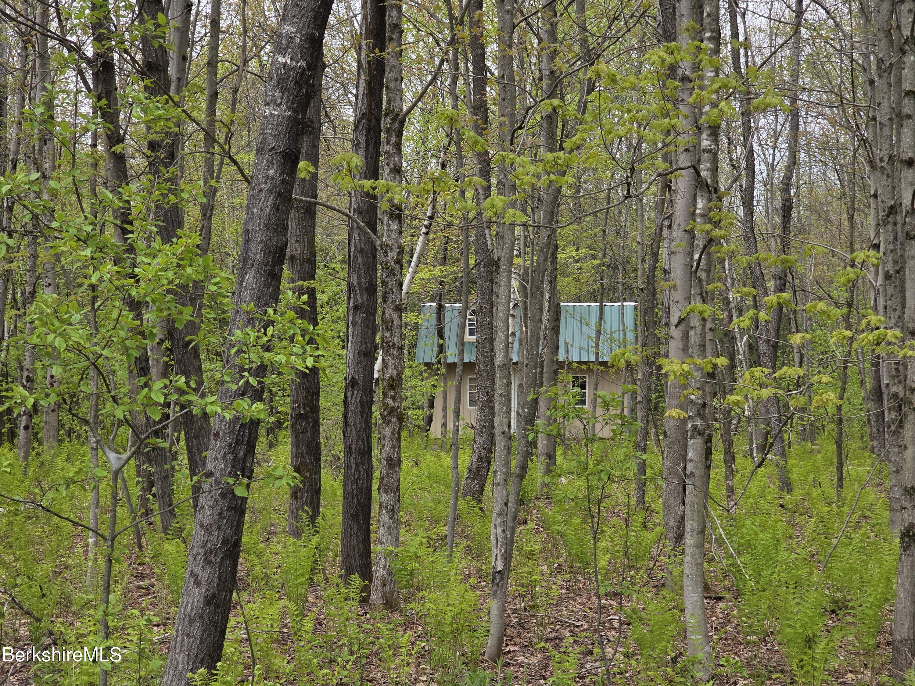 51 Bog Pond Rd, Savoy, Massachusetts image 40