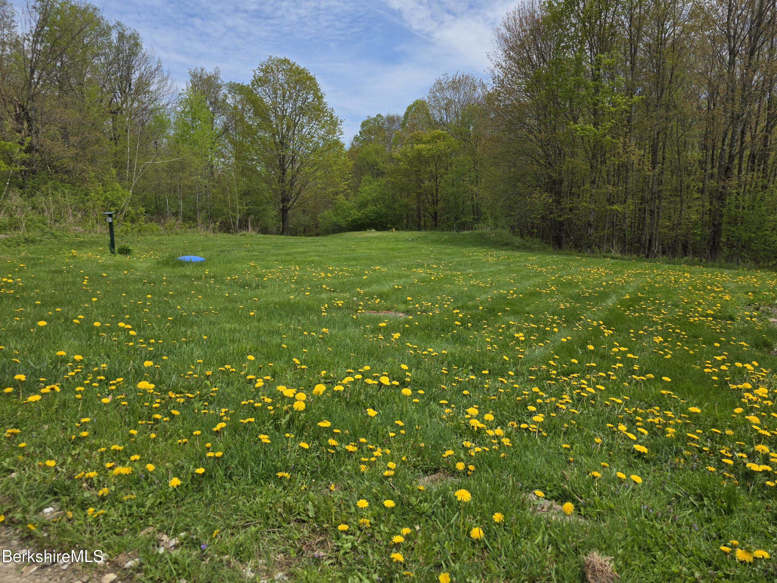 51 Bog Pond Rd, Savoy, Massachusetts image 41