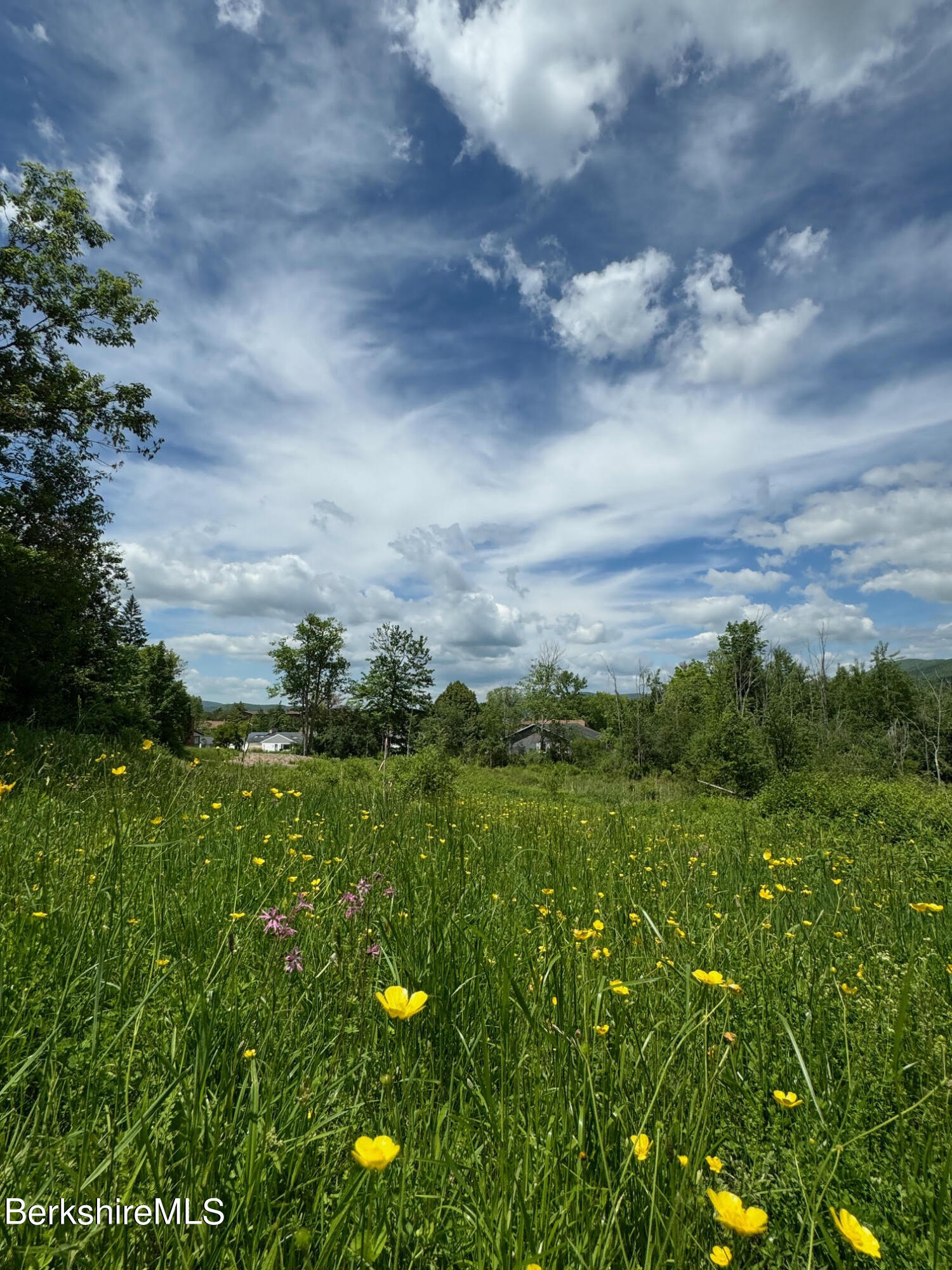 Holly Ln, Williamstown, Massachusetts image 2