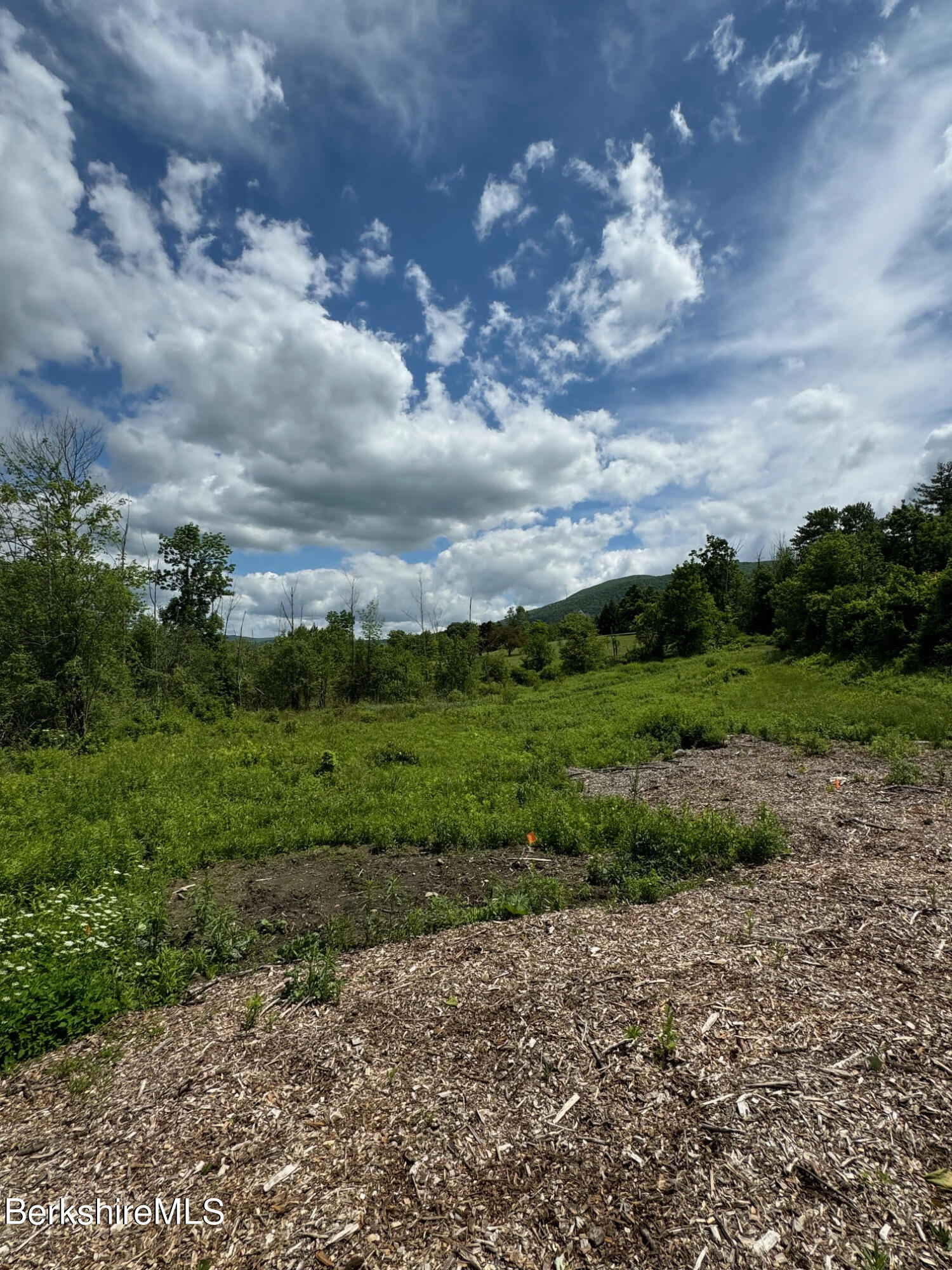 Holly Ln, Williamstown, Massachusetts image 5