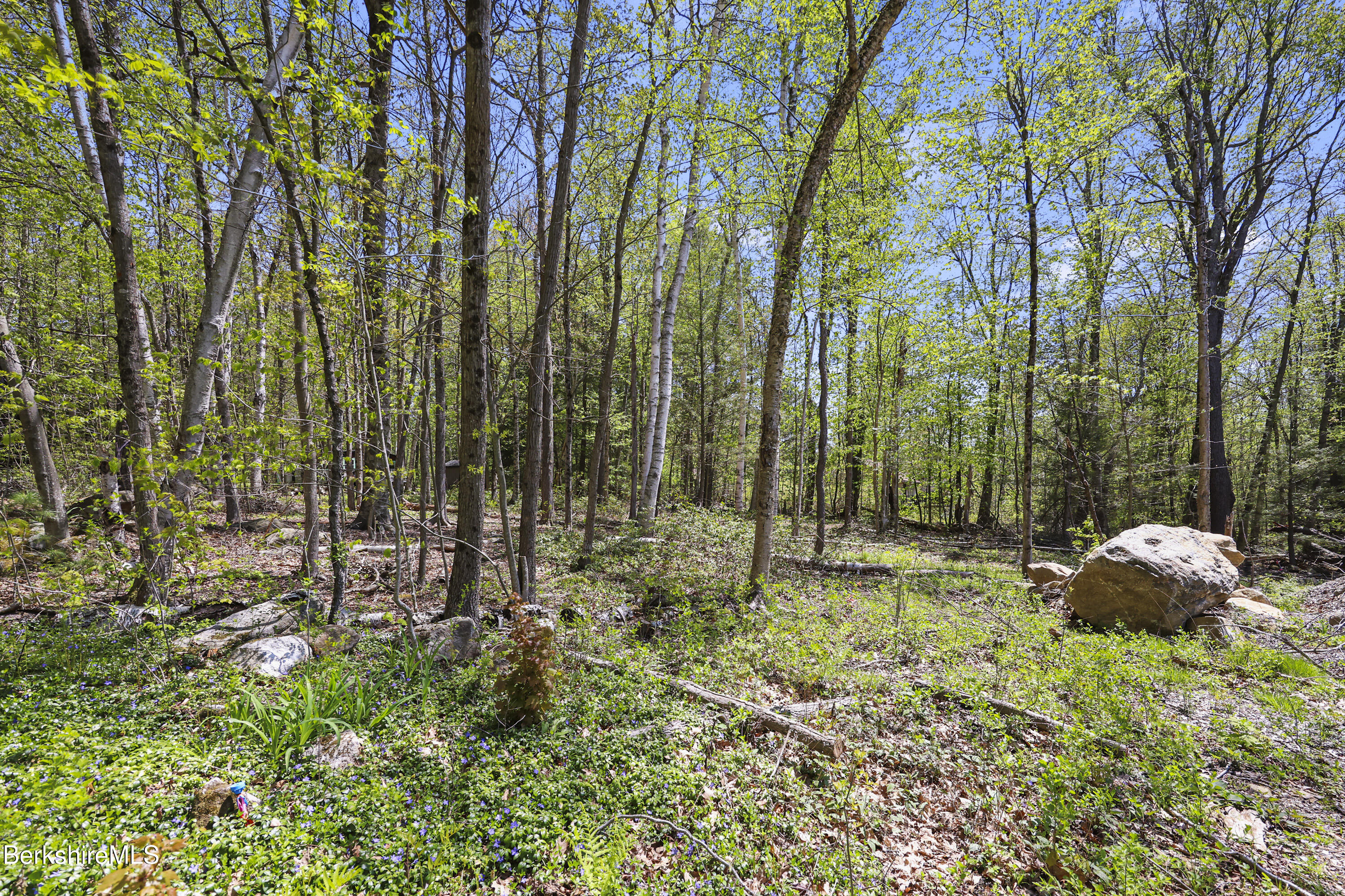 South St, Otis, Massachusetts image 10