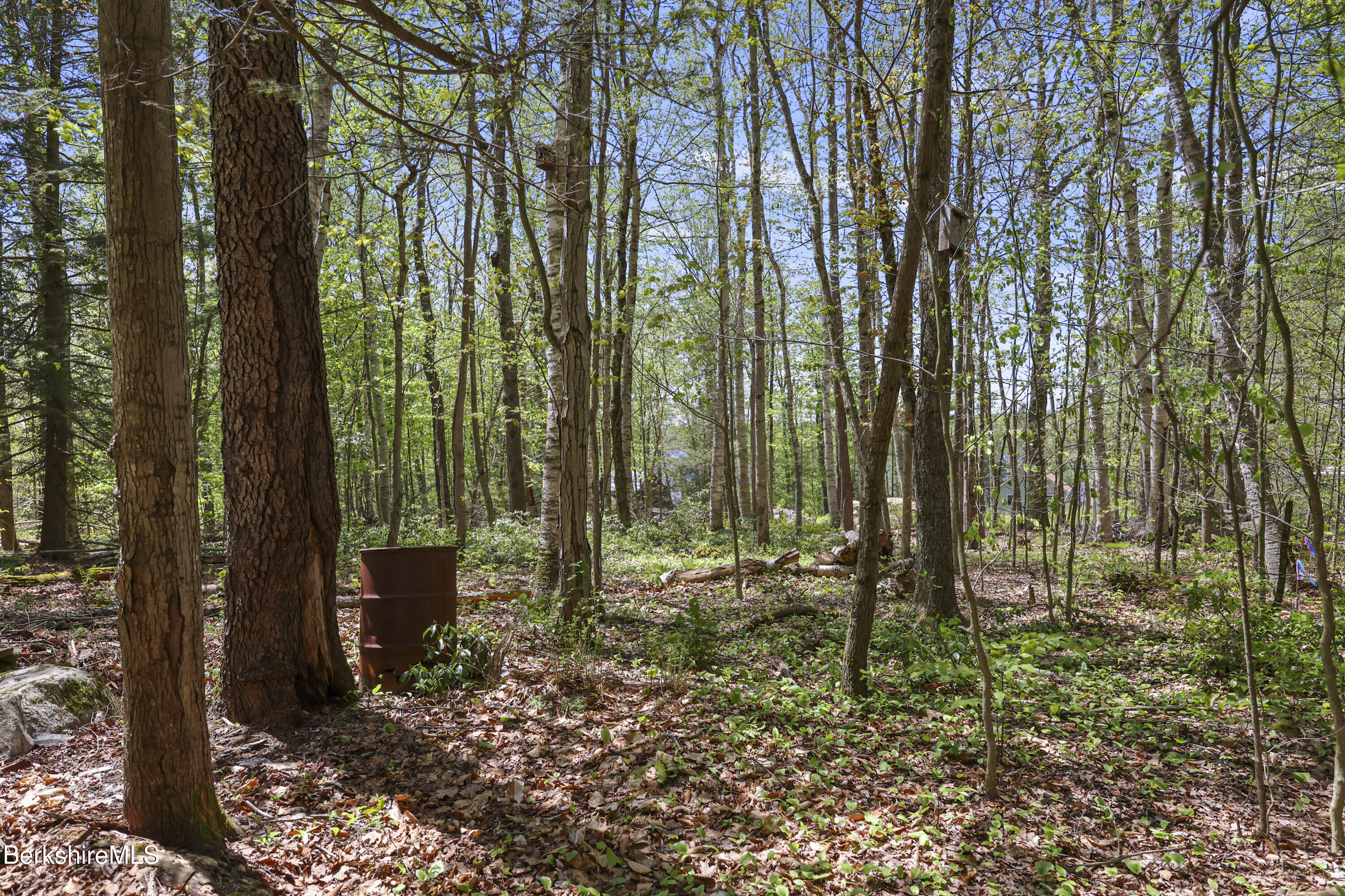 South St, Otis, Massachusetts image 9