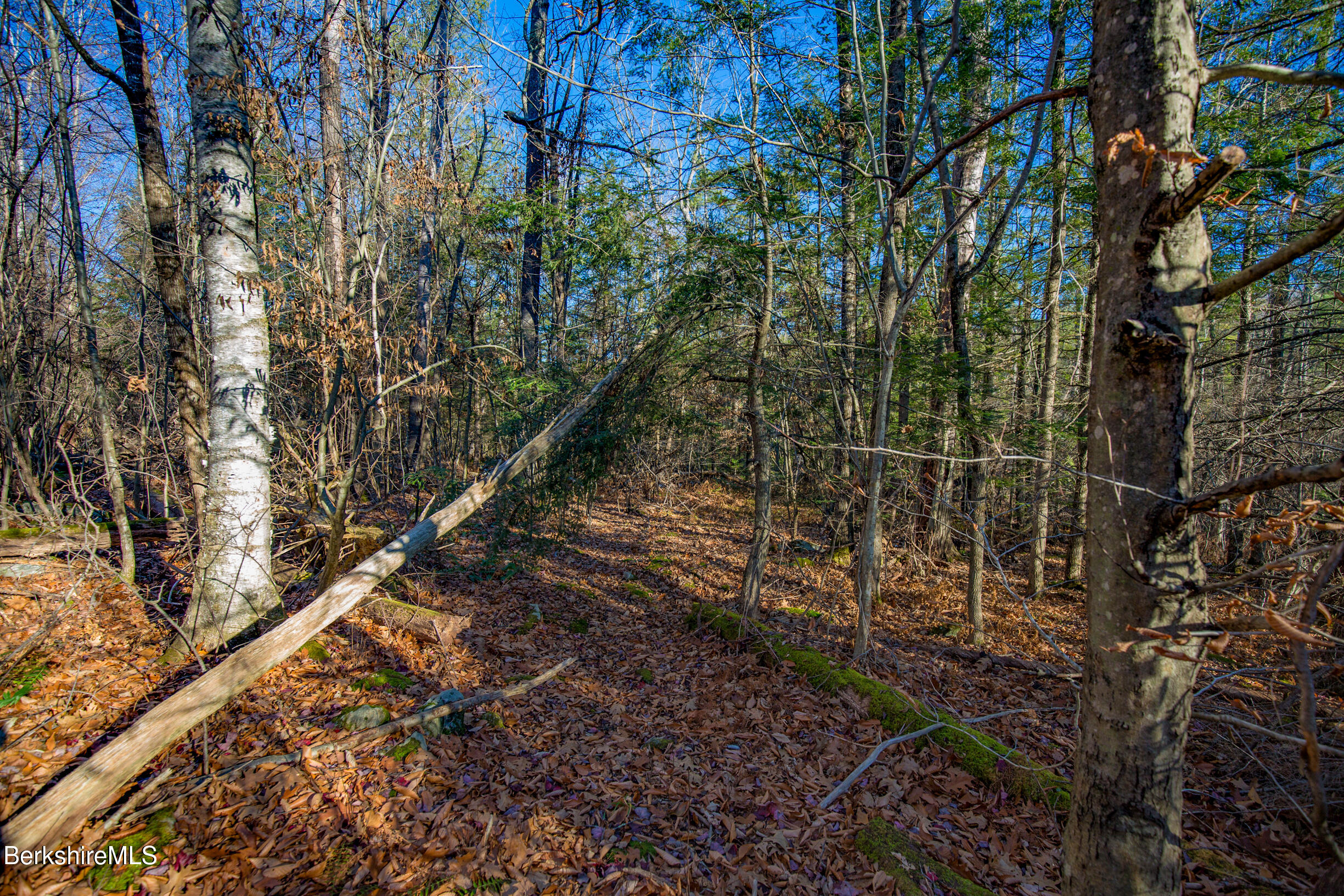 Goose Pond Rd, Tyringham, Massachusetts image 9