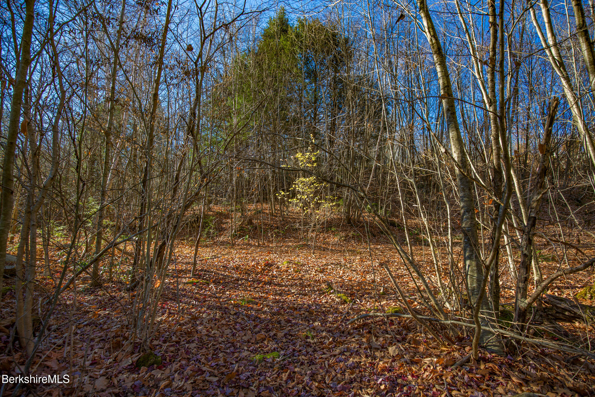 Goose Pond Rd, Tyringham, Massachusetts image 1