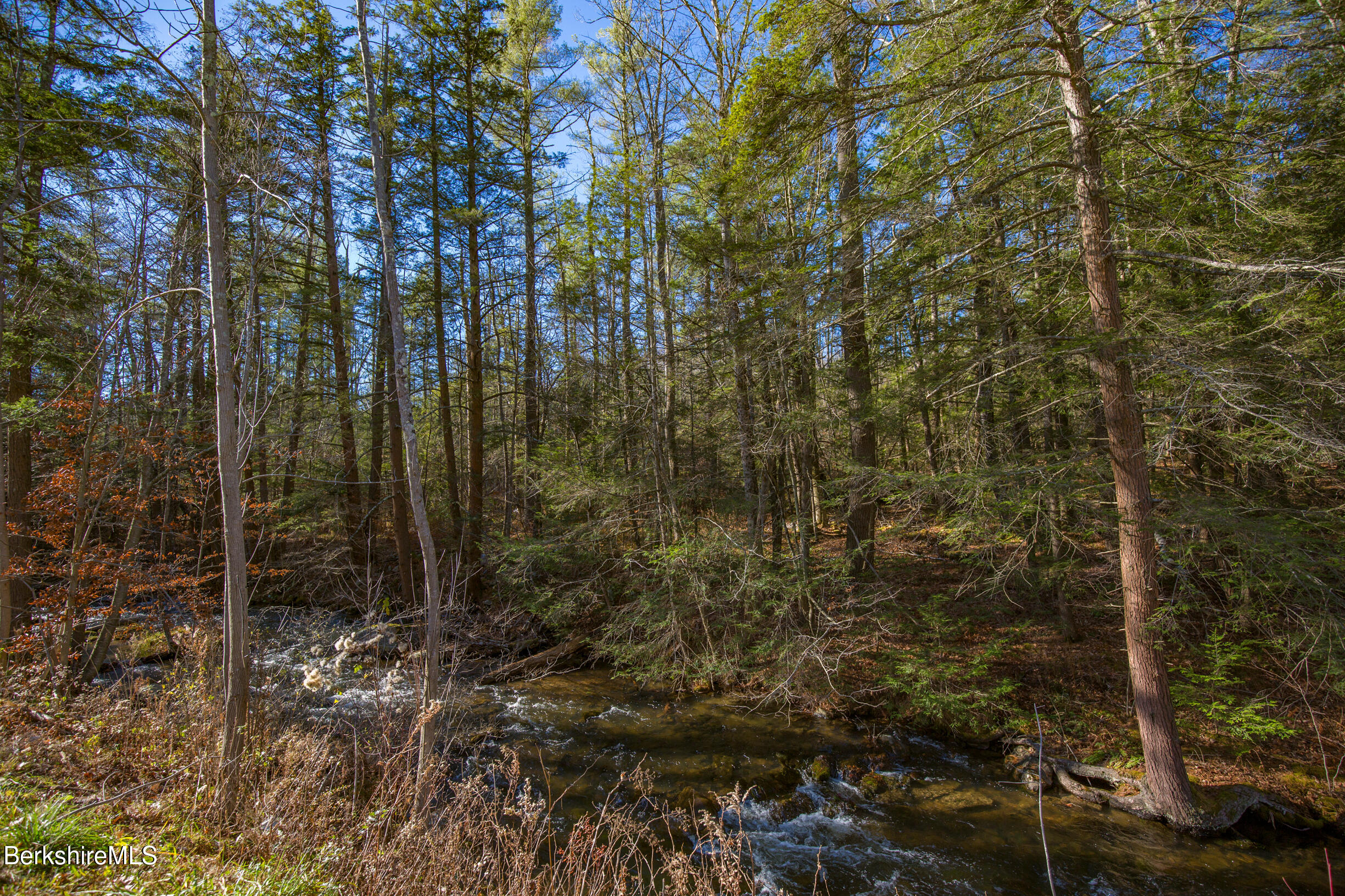 Goose Pond Rd, Tyringham, Massachusetts image 8