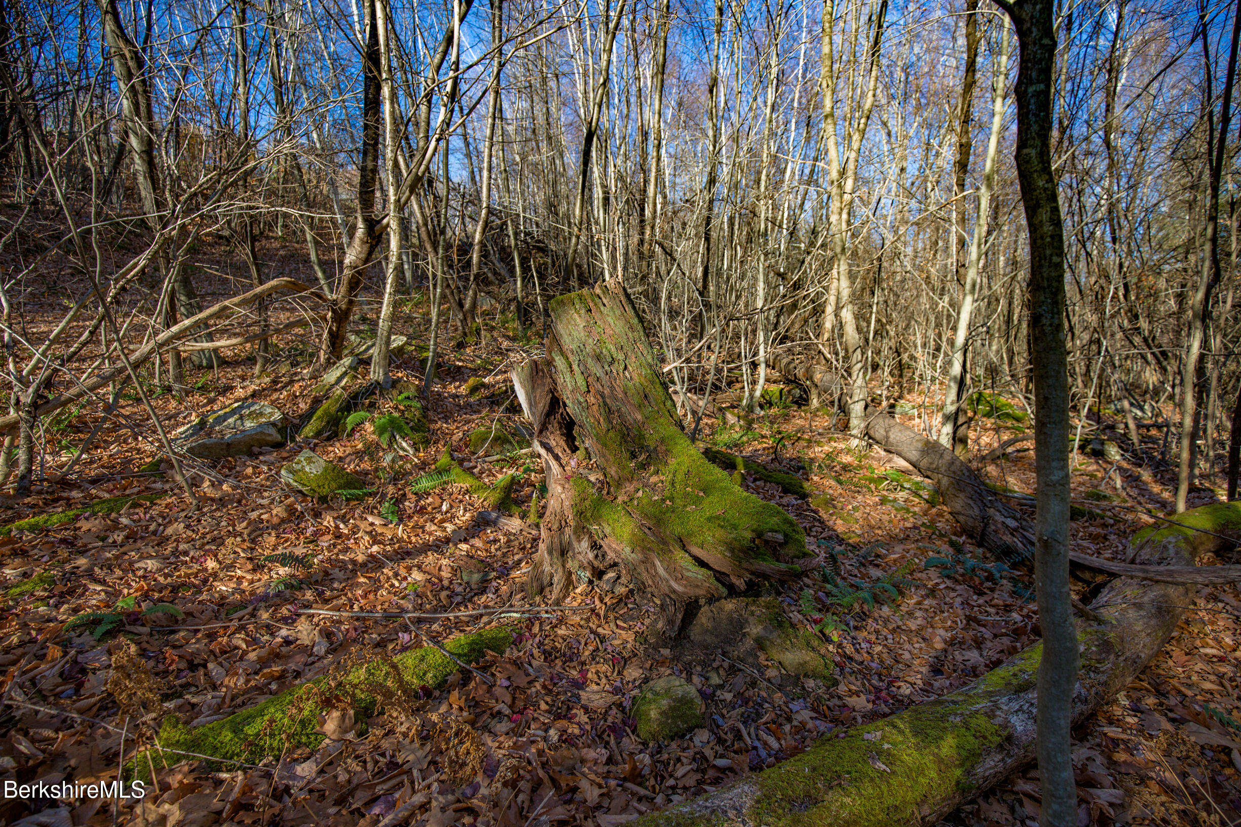 Goose Pond Rd, Tyringham, Massachusetts image 13