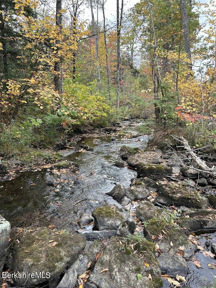 Goose Pond Rd, Tyringham, Massachusetts image 9