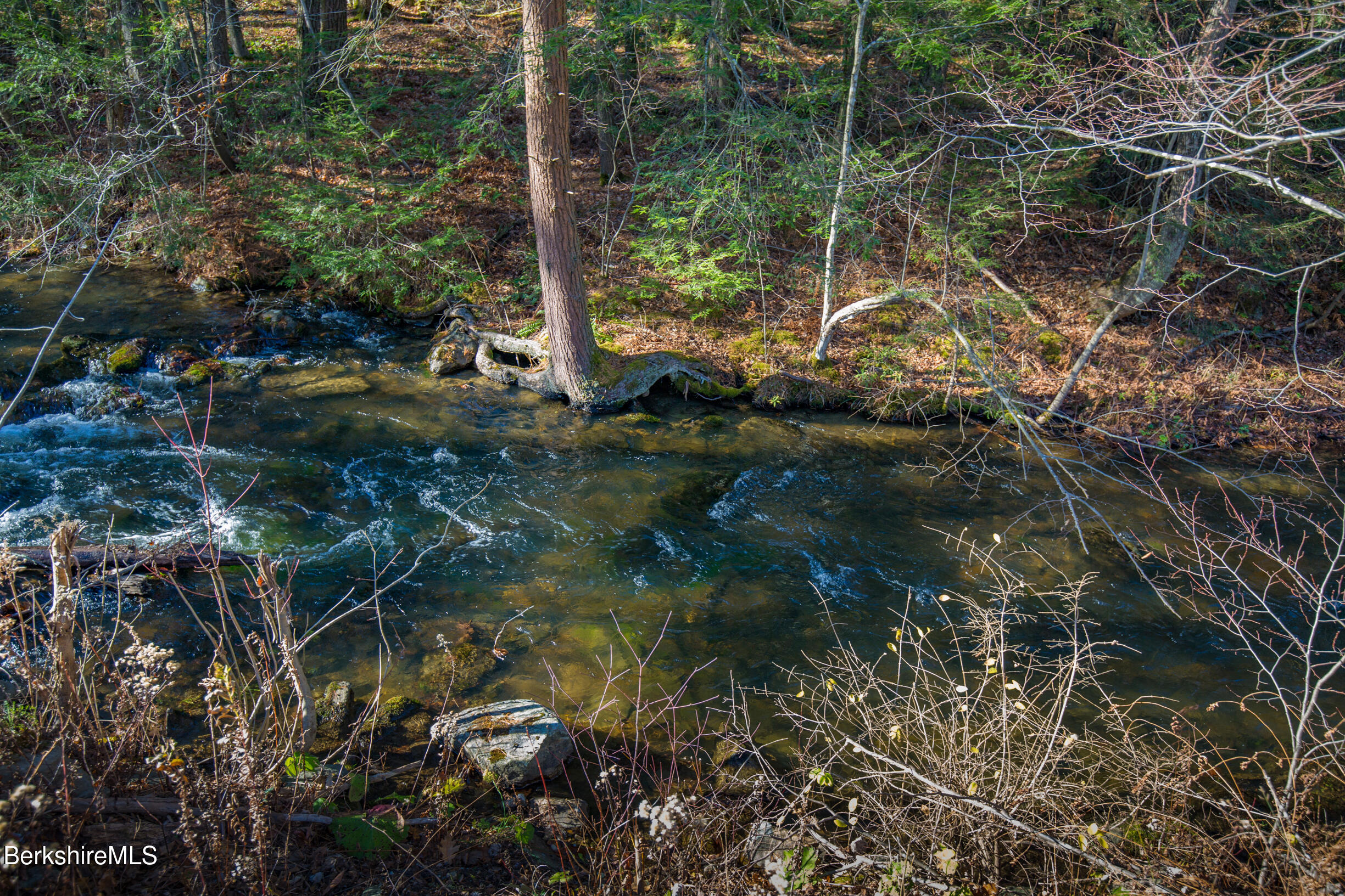 Goose Pond Rd, Tyringham, Massachusetts image 4