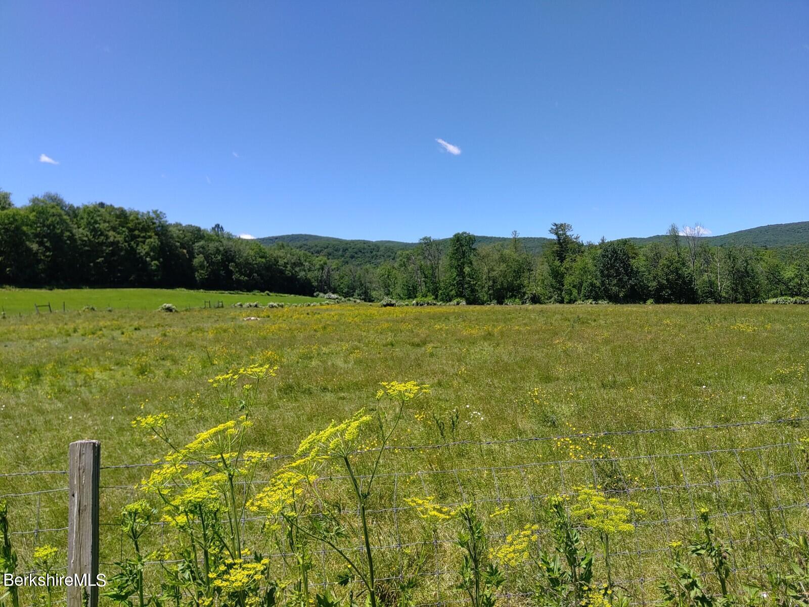 Old Ore Bed Rd, Lanesborough, Massachusetts image 2