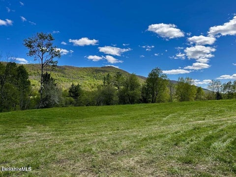 Vacant Land For Sale - Hancock Rd<br/> Williamstown, MA 01267