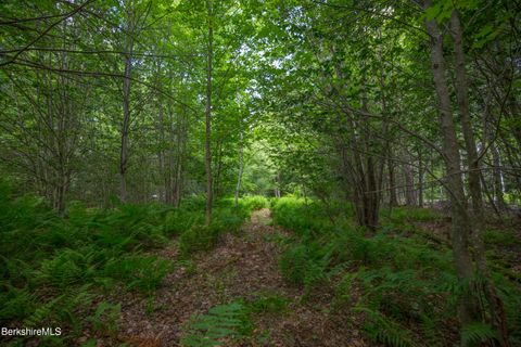 Vacant Land For Sale - Lot 21 Stoney Brook Rd<br/> Berkshire County, Becket, MA 01223