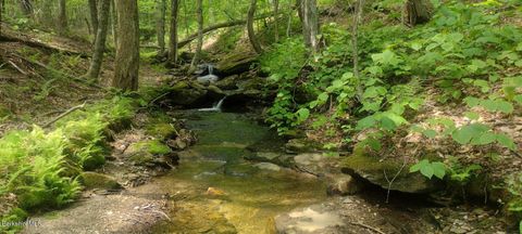 Vacant Land For Sale - 140 Strykers Rd<br/> Florida, MA 01247